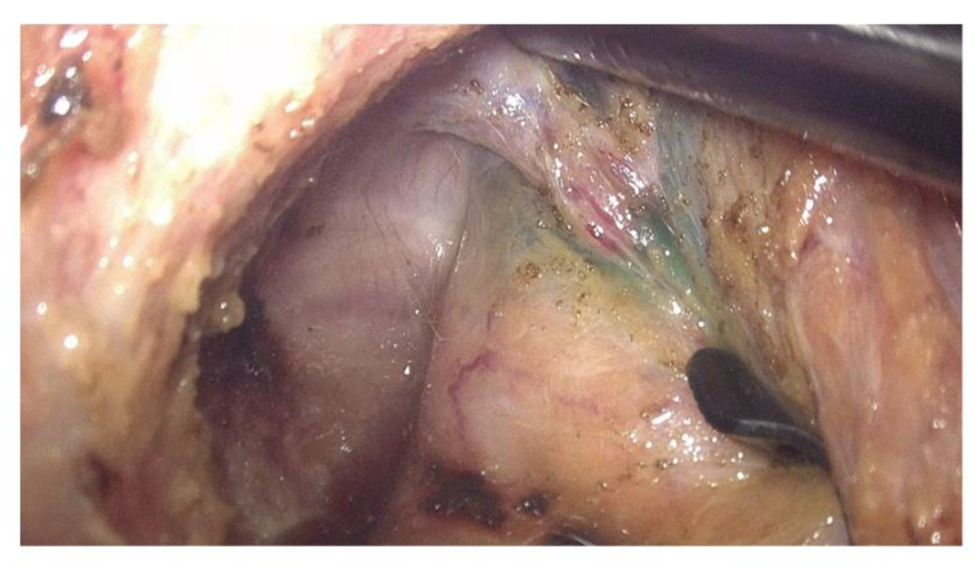 Biomedicines 11 00274 g001 Biomedicines 11 00274 g001