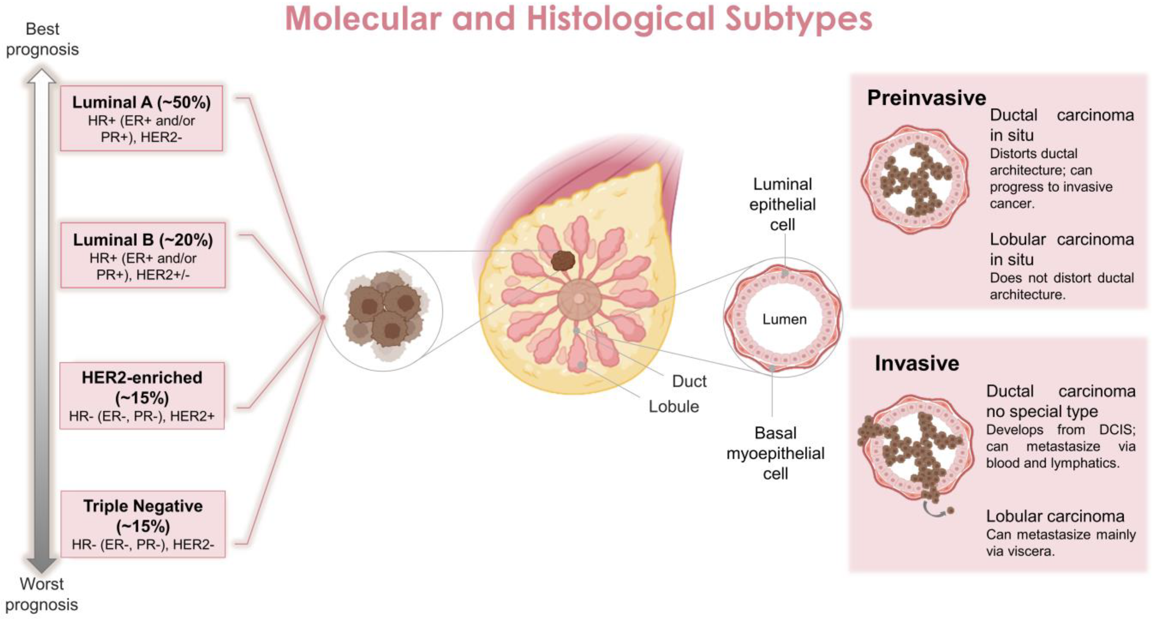 Biomedicines 11 00275 g001 Biomedicines 11 00275 g001
