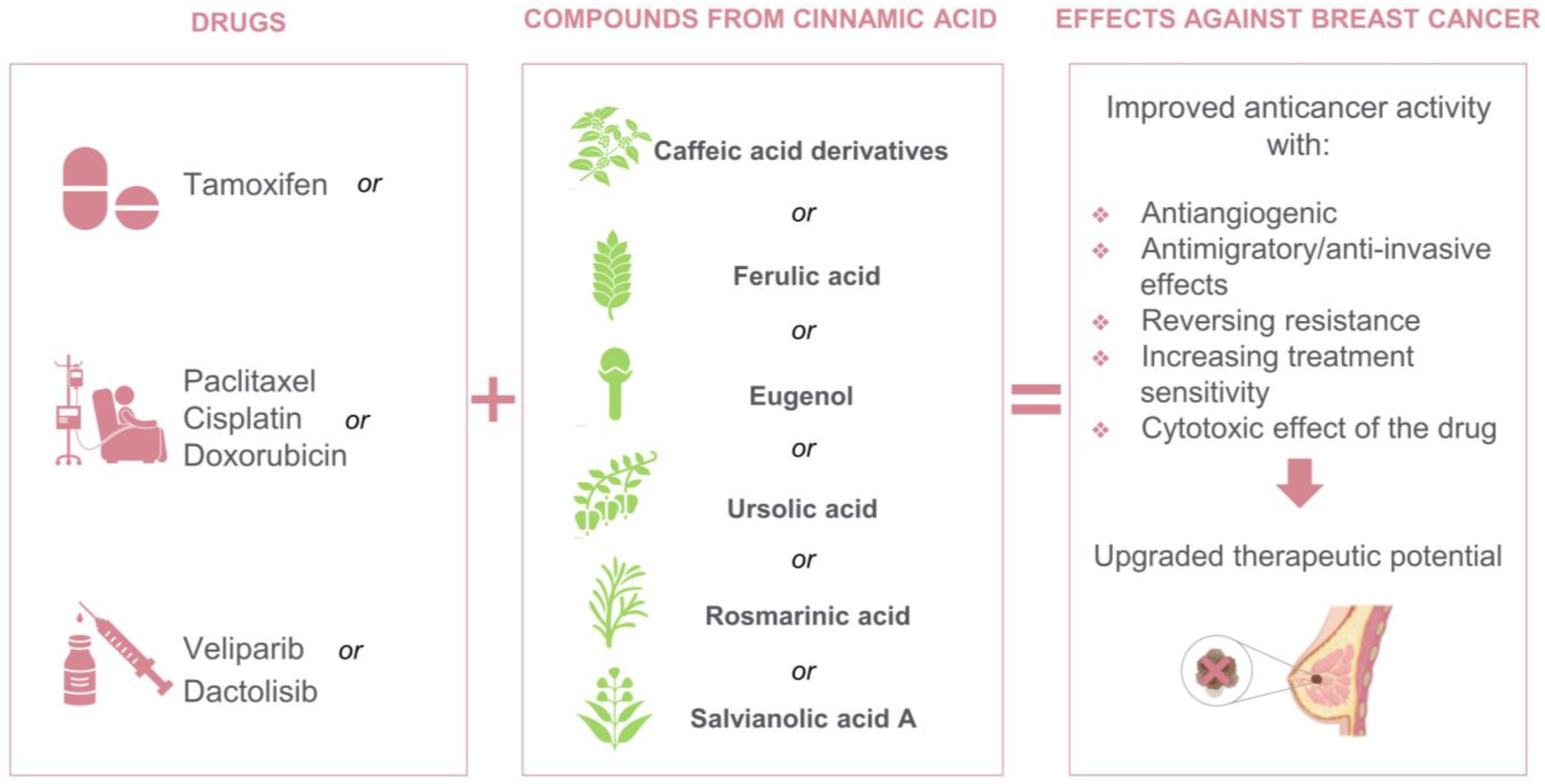 Biomedicines 11 00275 g004 Biomedicines 11 00275 g004