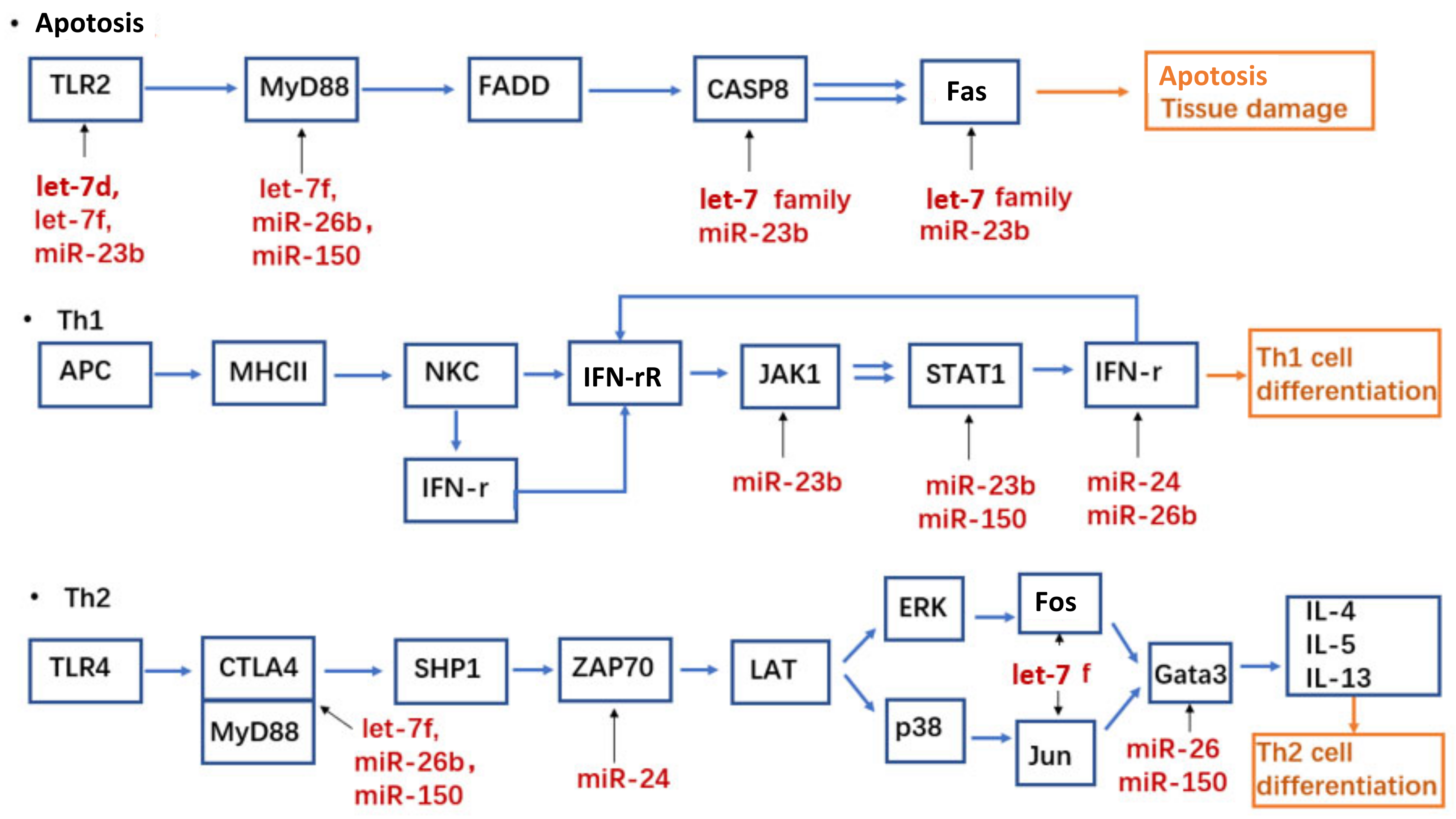 Biomedicines 11 00277 g005 Biomedicines 11 00277 g005