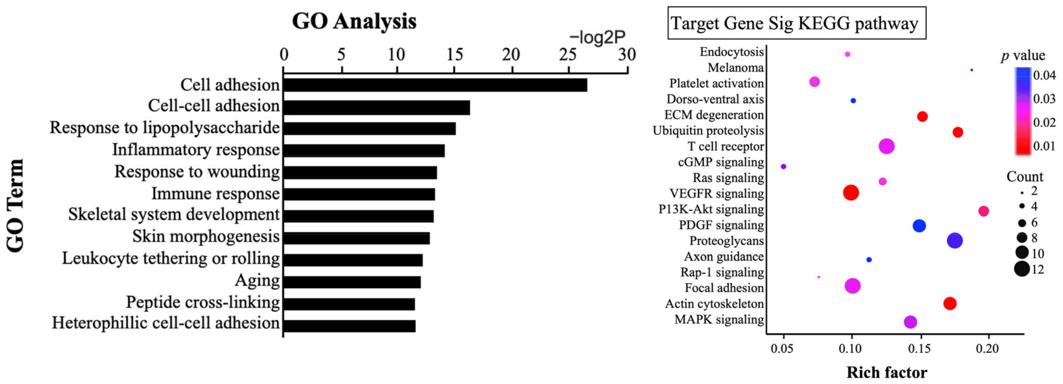 Biomedicines 11 00277 g007 Biomedicines 11 00277 g007