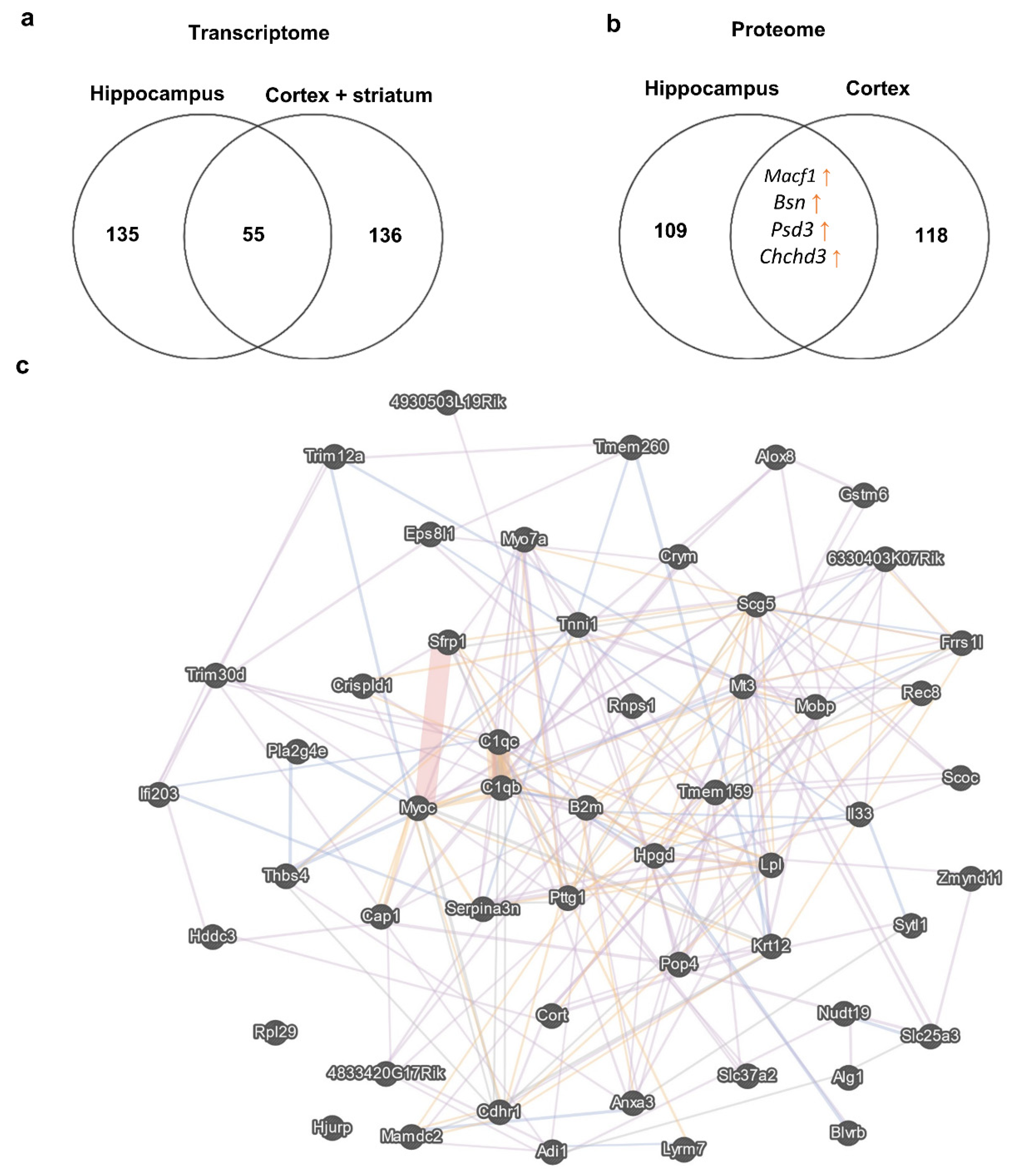 Biomedicines 11 00289 g004 Biomedicines 11 00289 g004