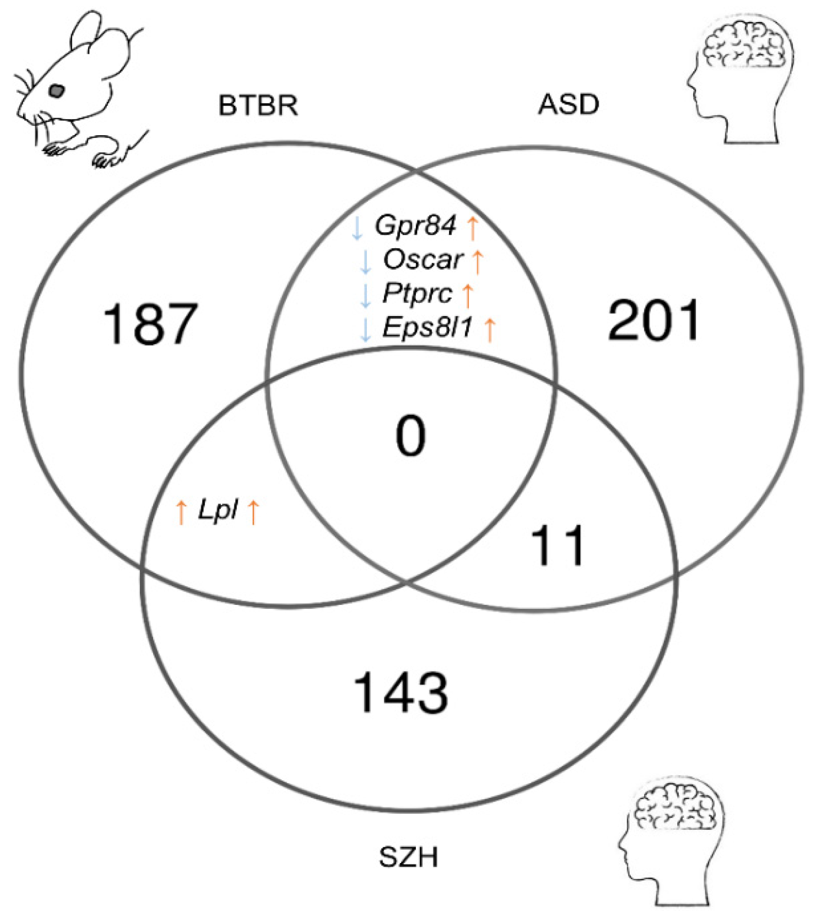 Biomedicines 11 00289 g005 Biomedicines 11 00289 g005