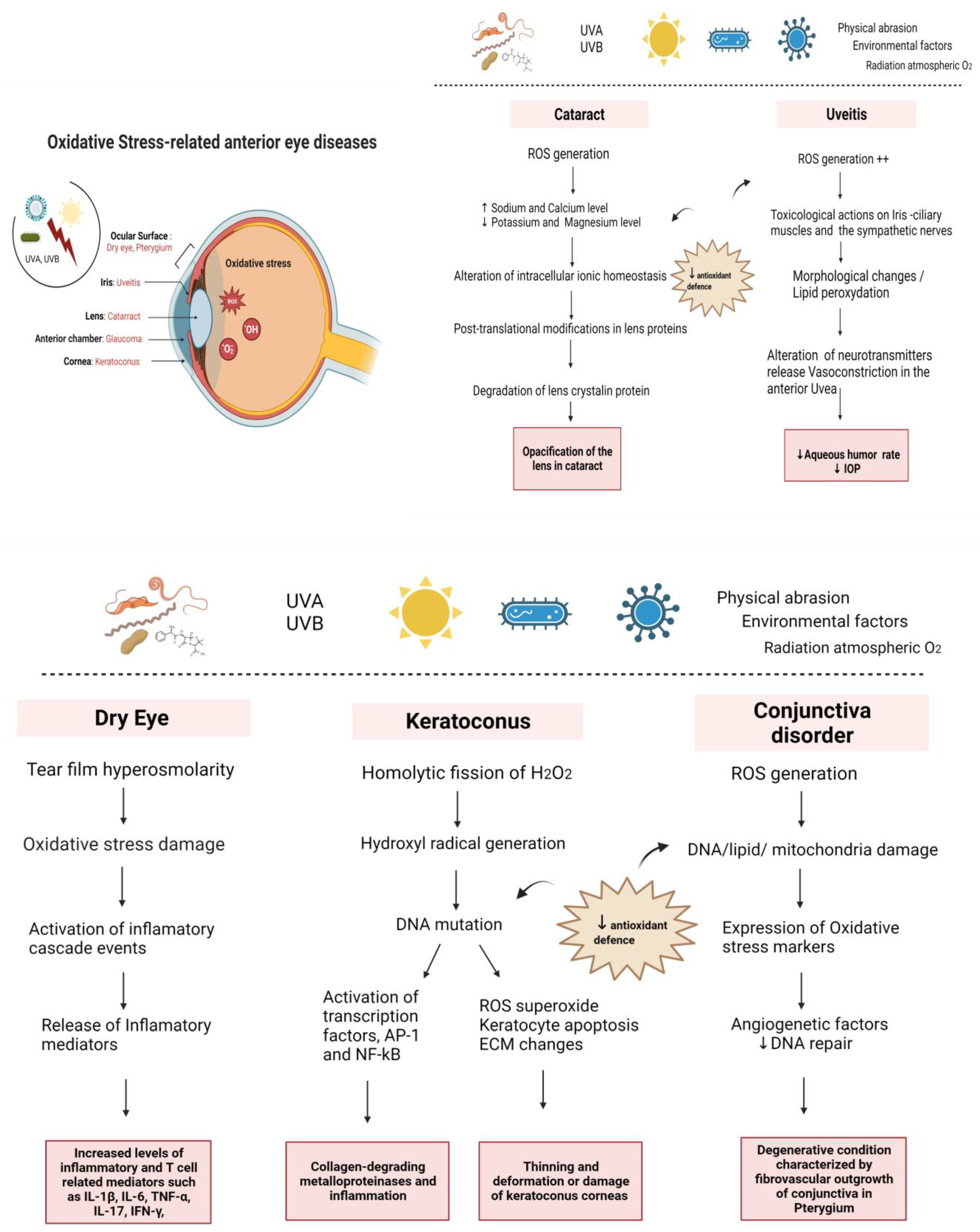 Biomedicines 11 00292 g001 Biomedicines 11 00292 g001