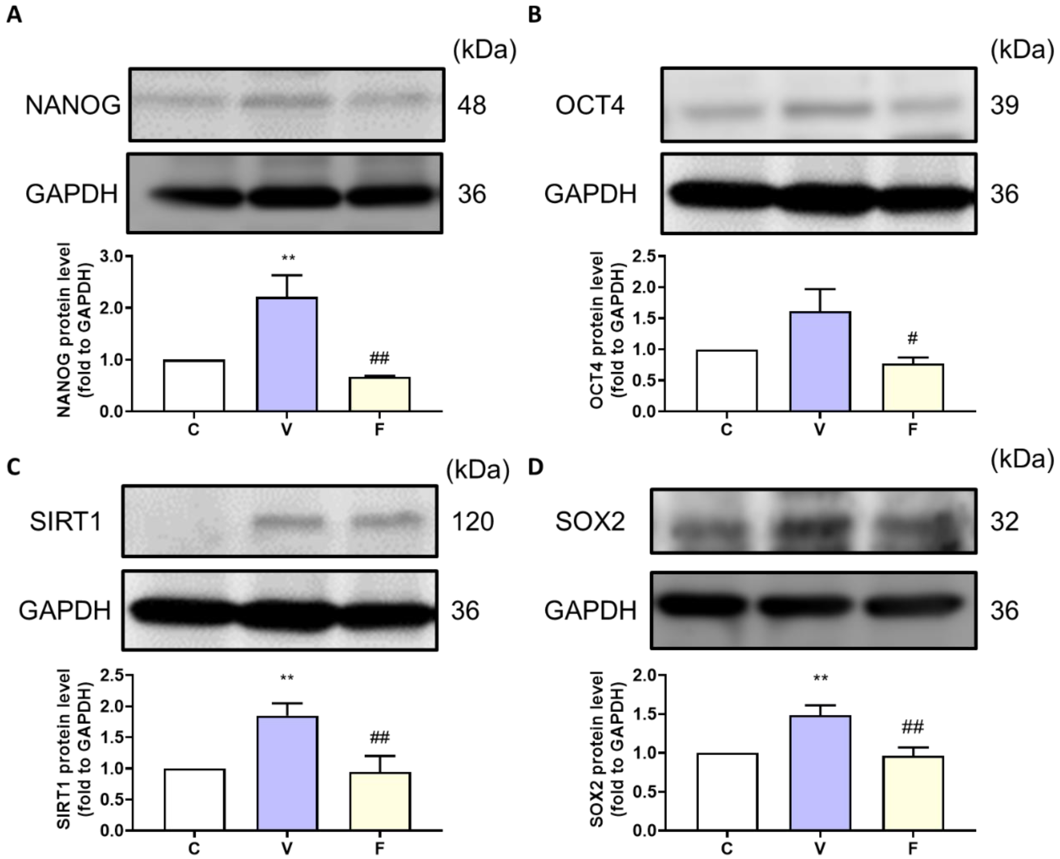 Biomedicines 11 00297 g003