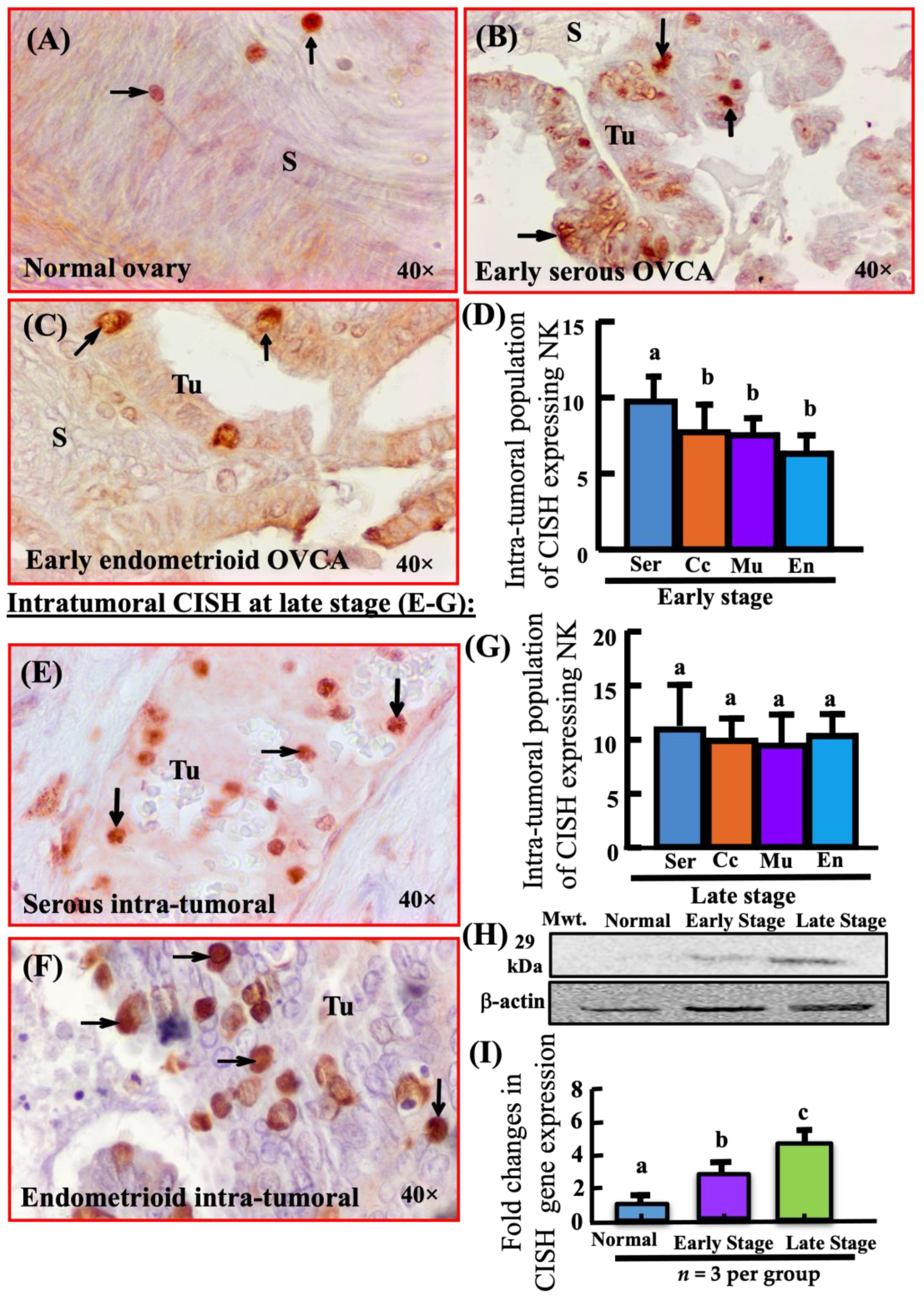 Biomedicines 11 00299 g002 Biomedicines 11 00299 g002