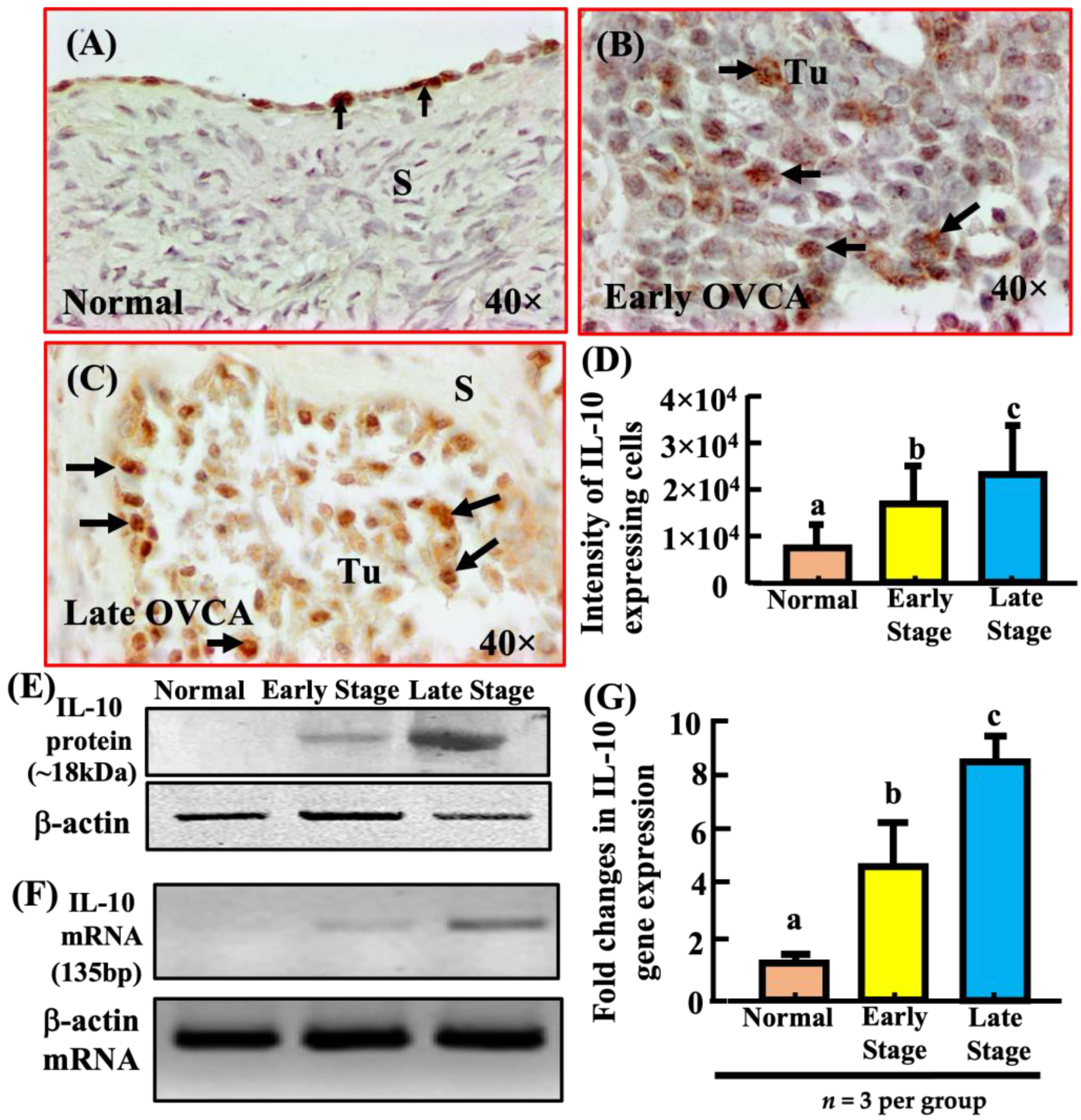 Biomedicines 11 00299 g003 Biomedicines 11 00299 g003