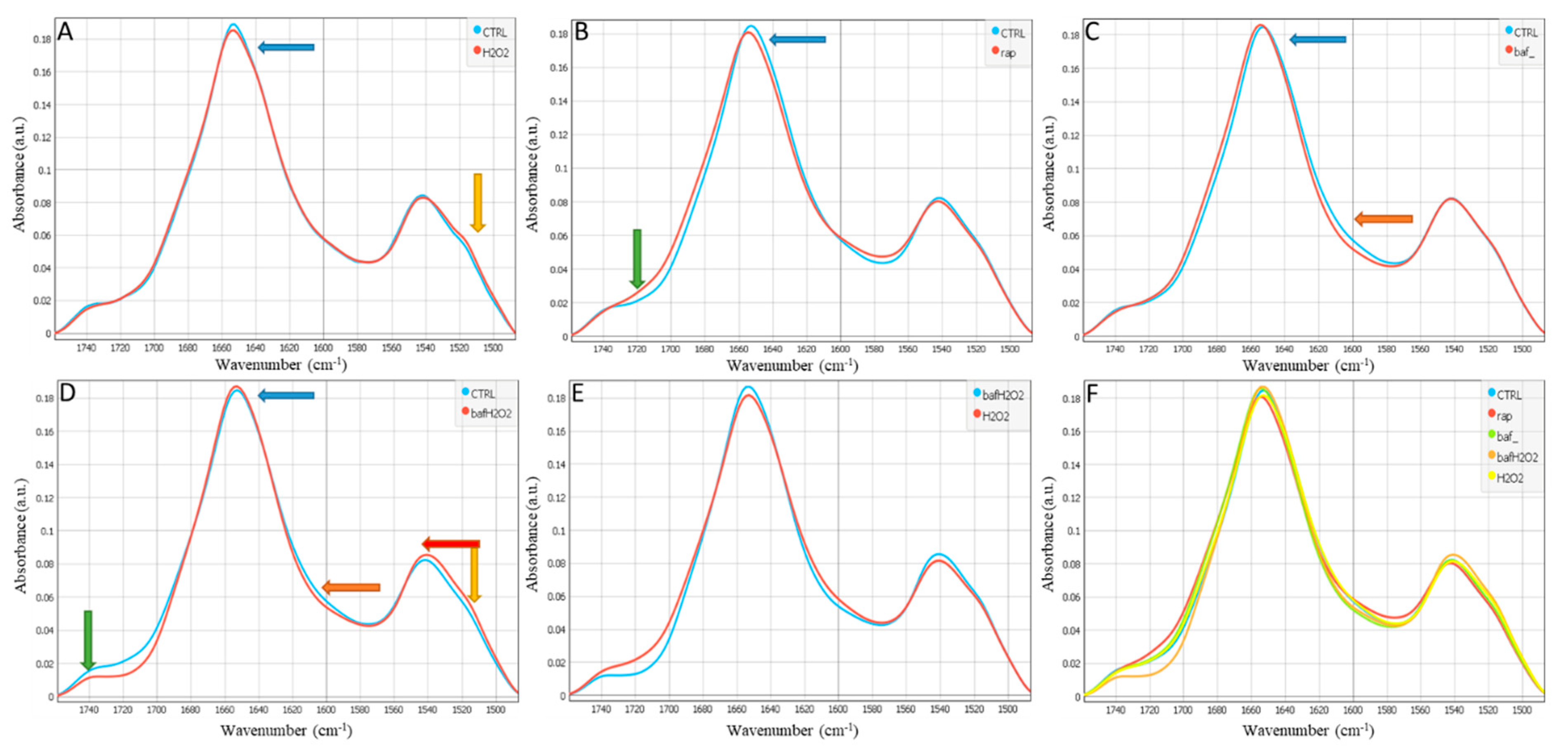 Biomedicines 11 00300 g001 Biomedicines 11 00300 g001