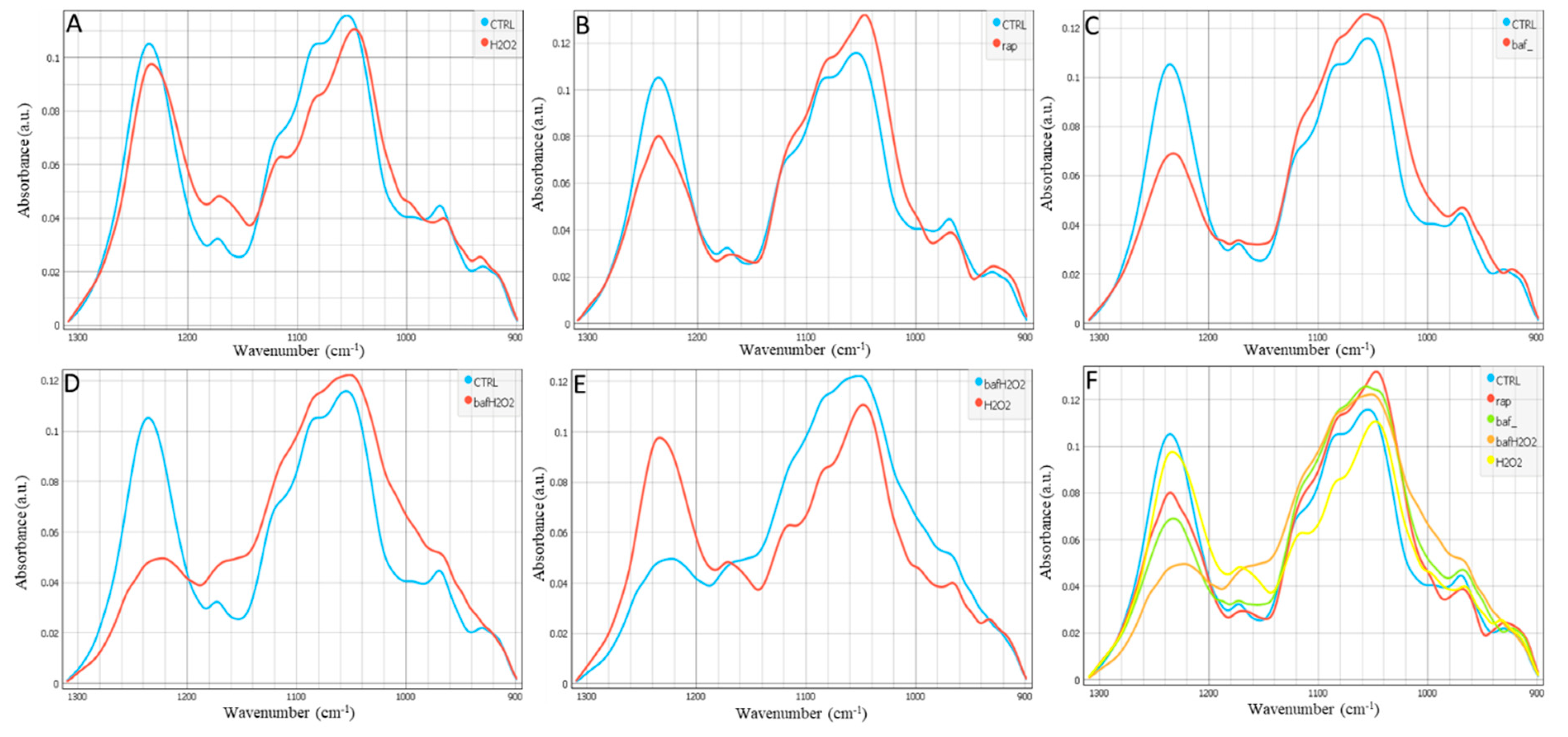 Biomedicines 11 00300 g002 Biomedicines 11 00300 g002