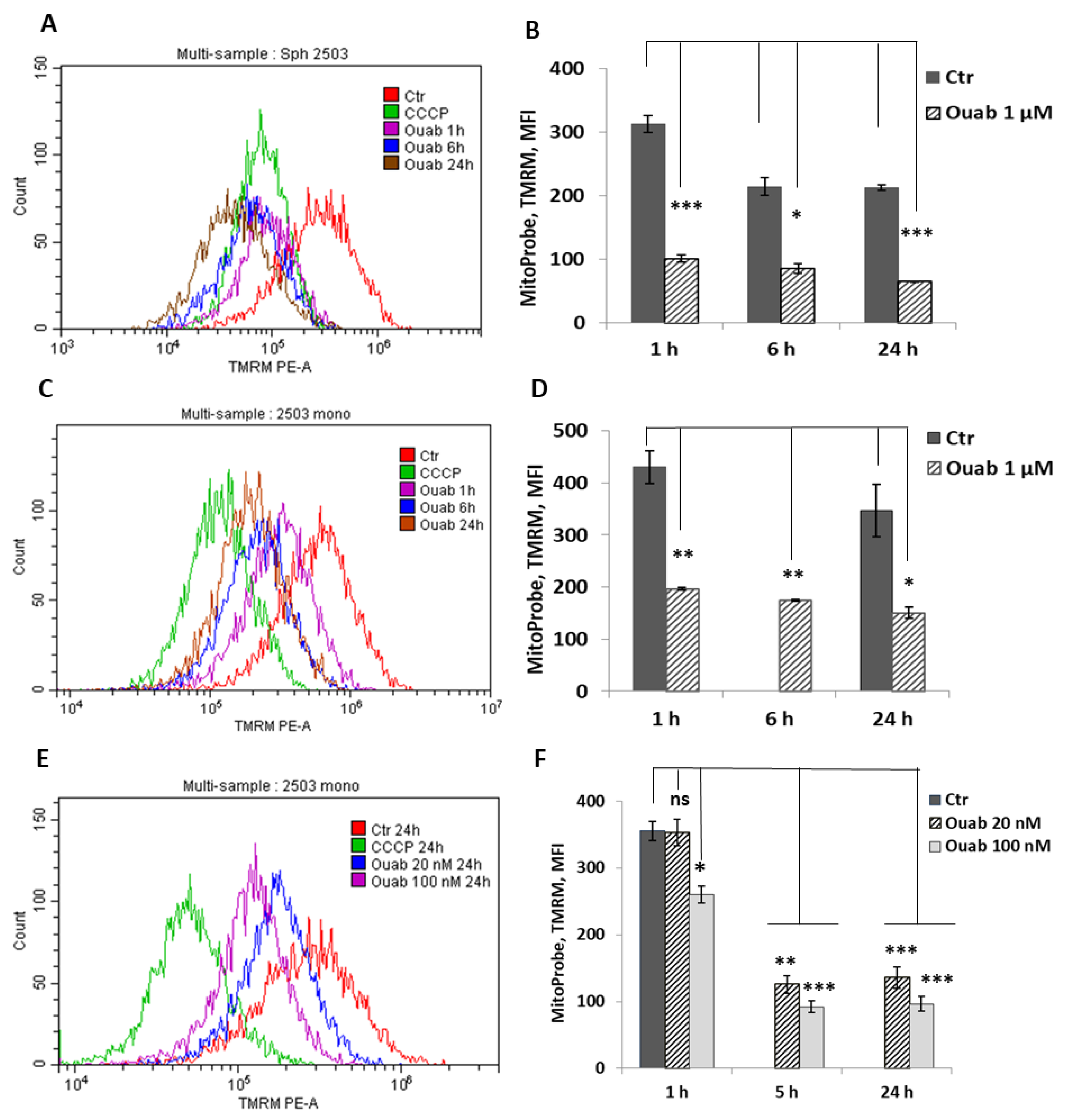 Biomedicines 11 00301 g006 Biomedicines 11 00301 g006