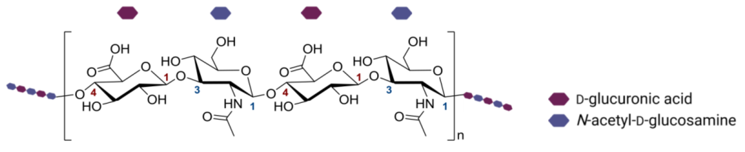 Biomedicines 11 00304 g001 Biomedicines 11 00304 g001