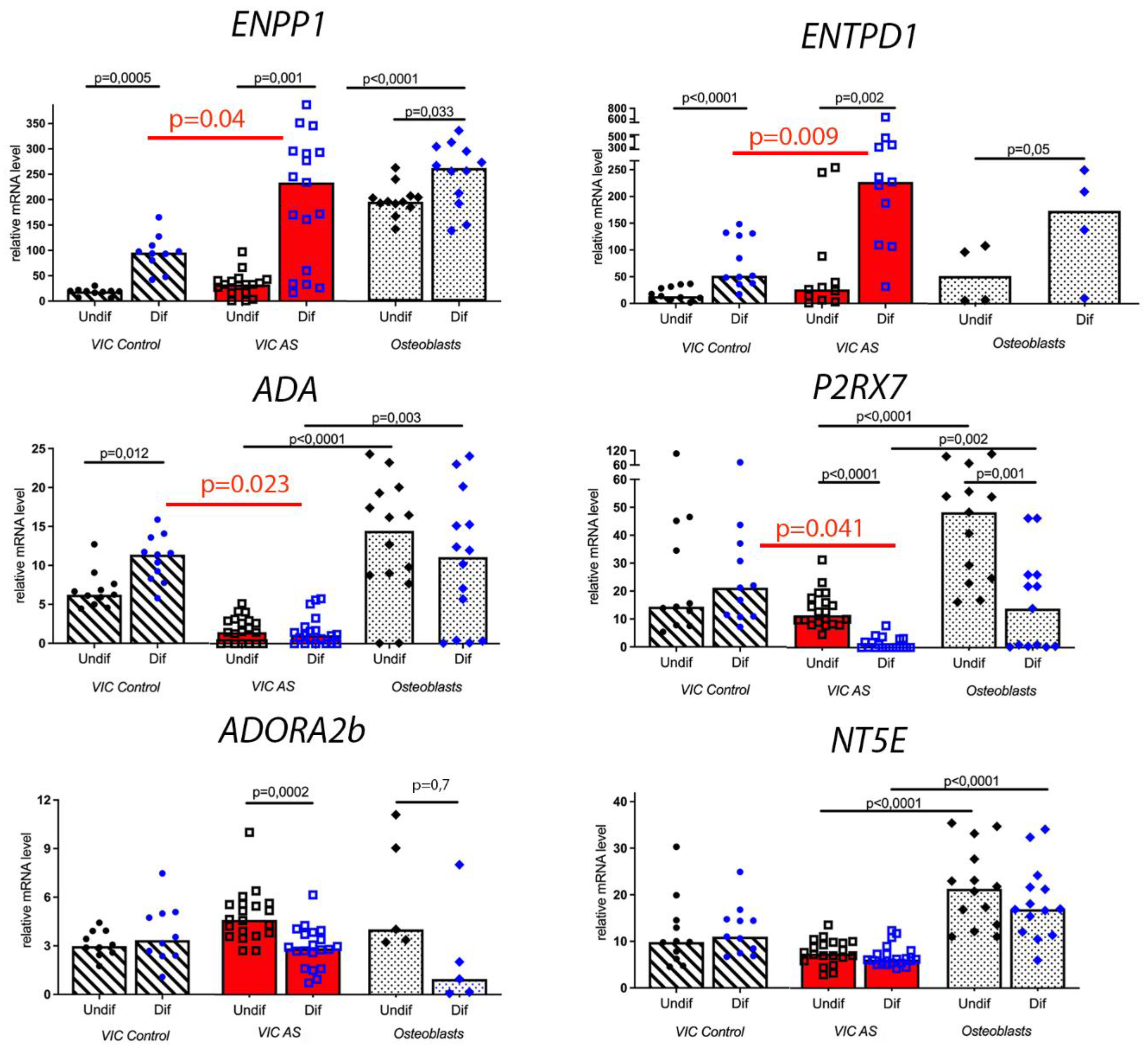 Biomedicines 11 00307 g002