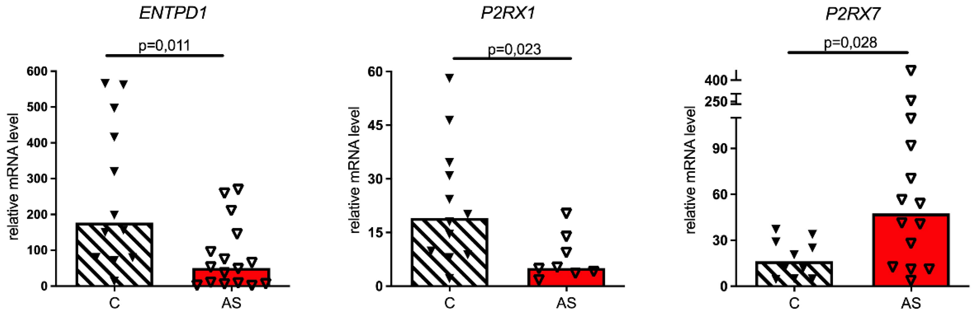 Biomedicines 11 00307 g004