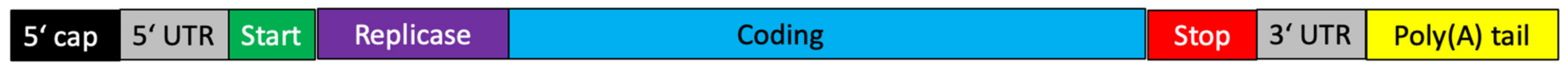 Biomedicines 11 00308 g002 Biomedicines 11 00308 g002