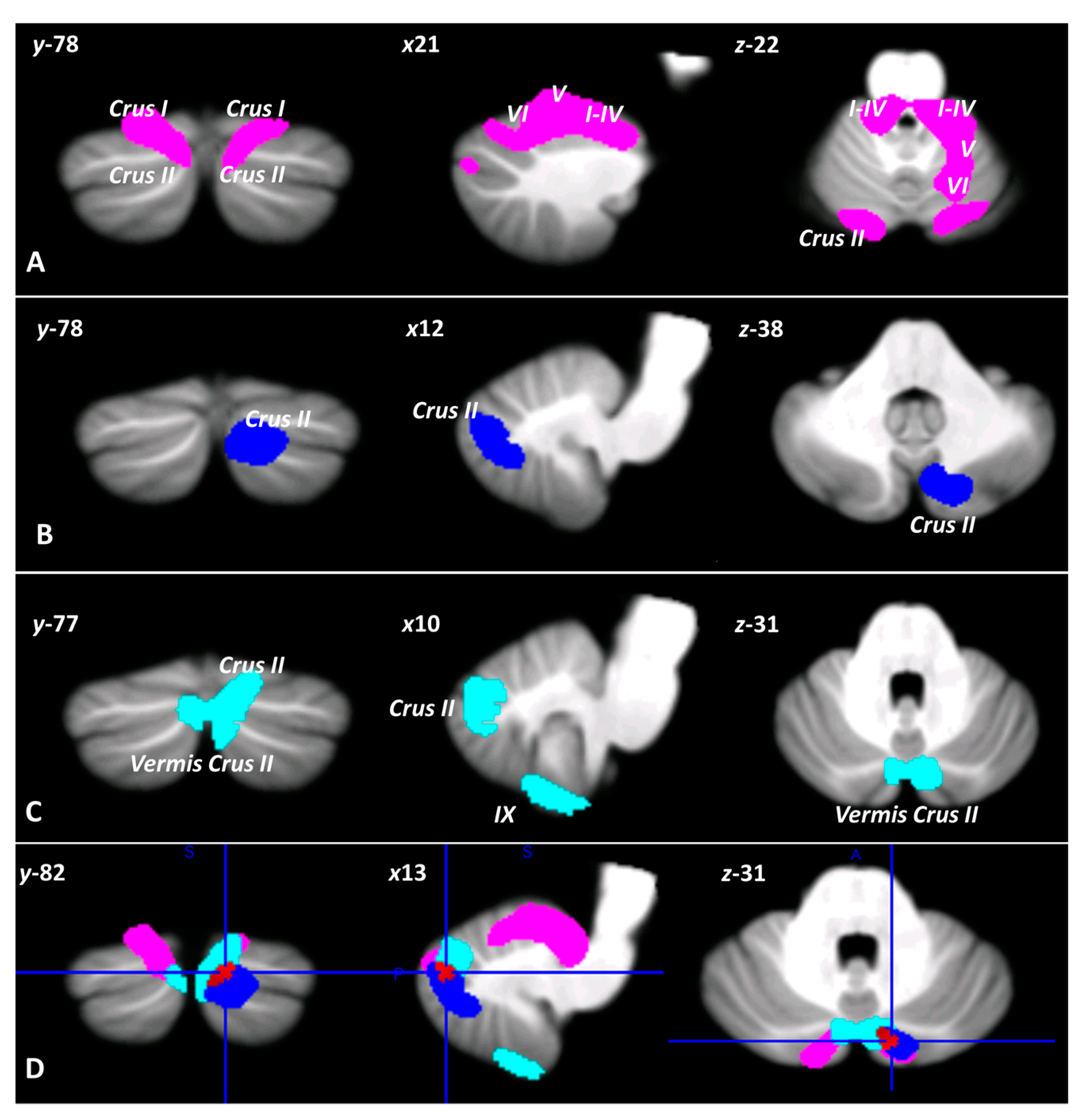 Biomedicines 11 00309 g002 Biomedicines 11 00309 g002