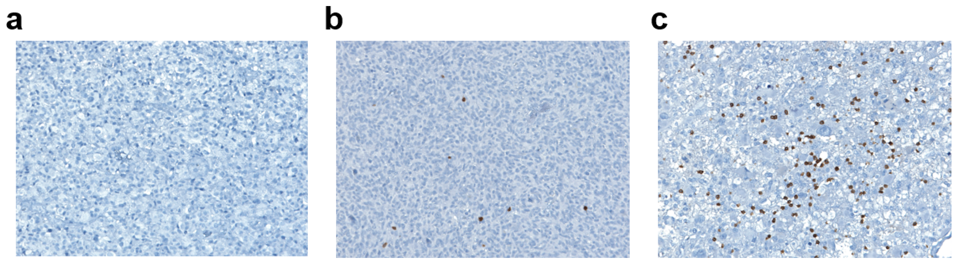 Biomedicines 11 00311 g004 Biomedicines 11 00311 g004