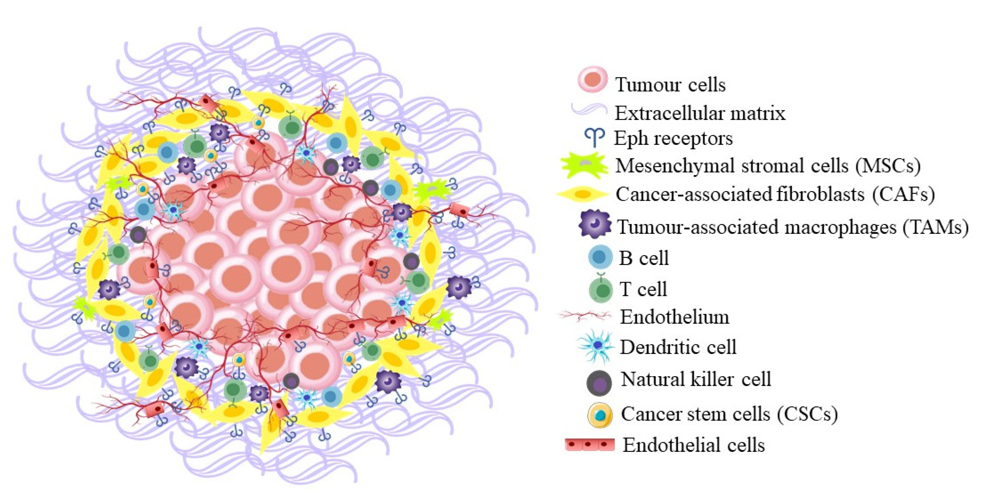 Biomedicines 11 00315 g003