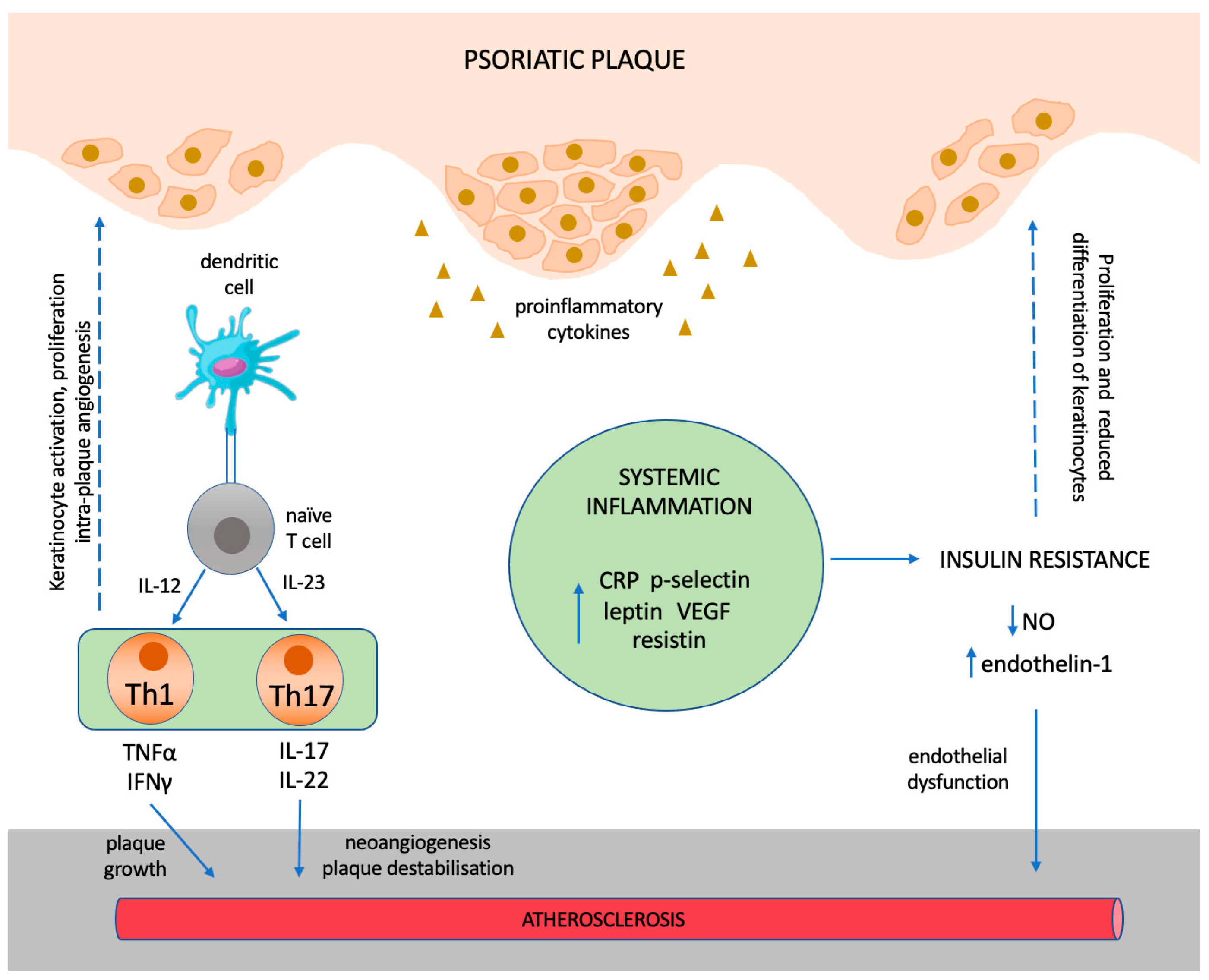 Biomedicines 11 00318 g002 Biomedicines 11 00318 g002