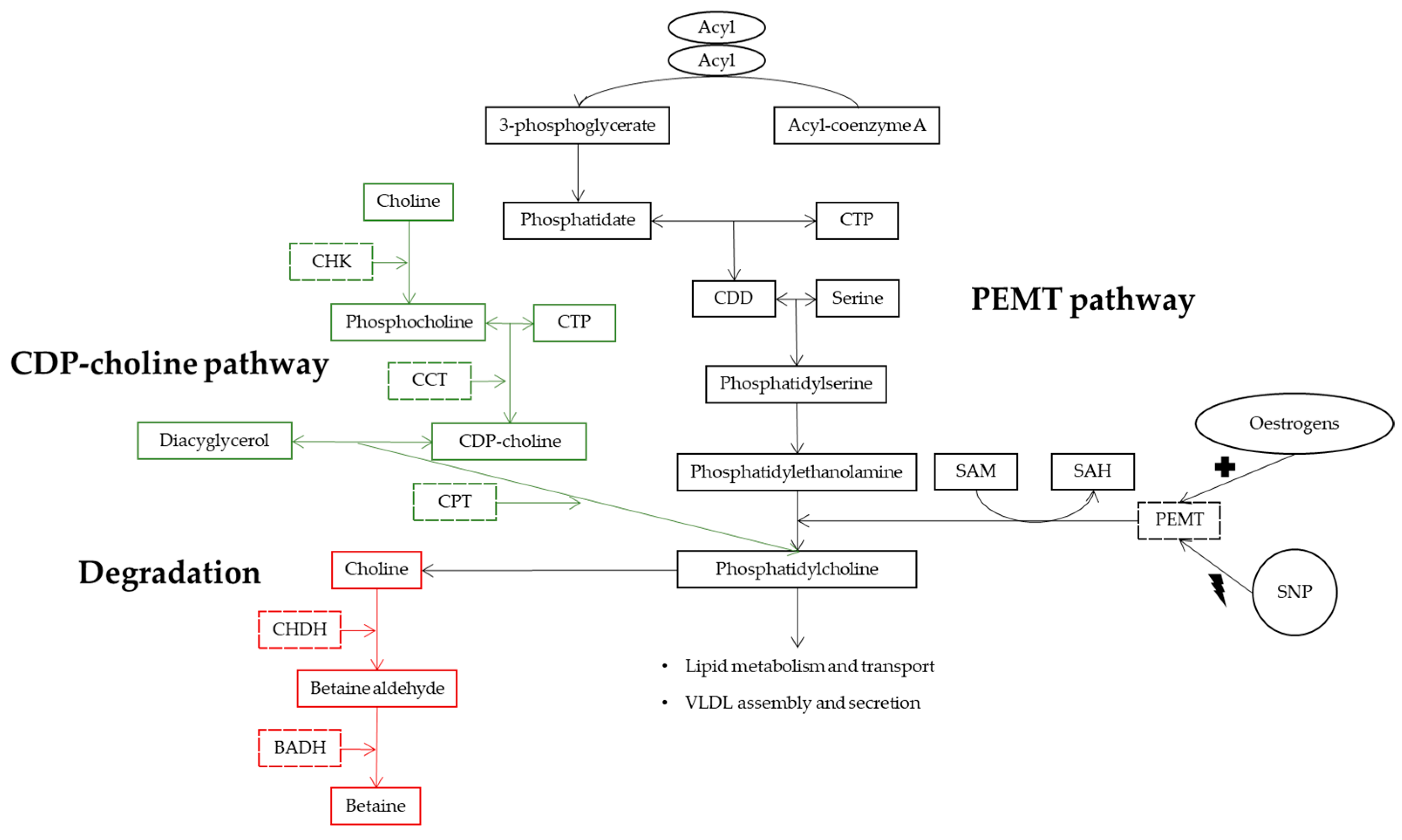 Biomedicines 11 00319 g001 Biomedicines 11 00319 g001