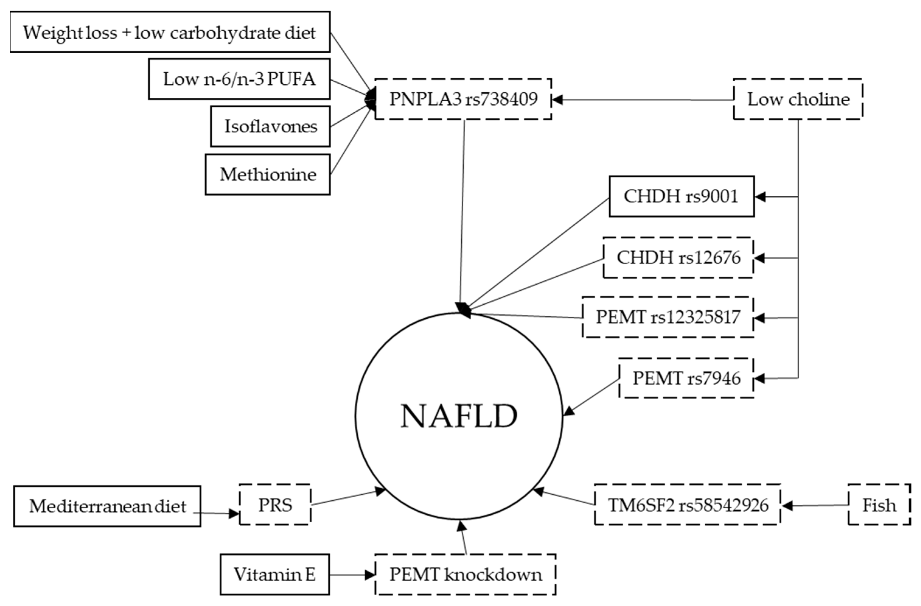 Biomedicines 11 00319 g002 Biomedicines 11 00319 g002