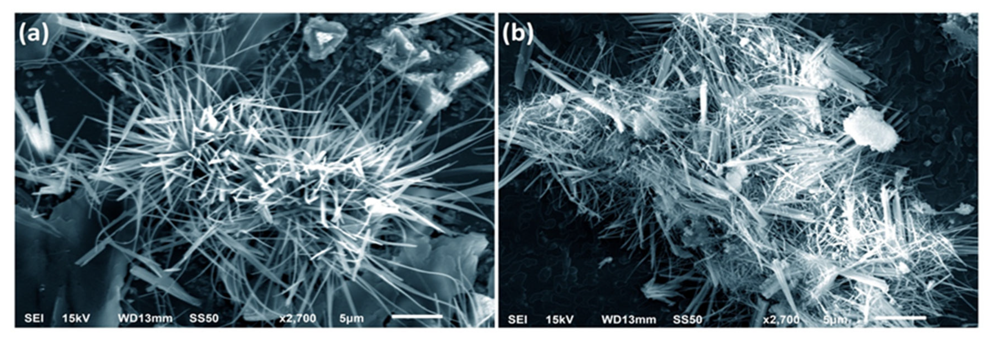 Biomedicines 11 00320 g003