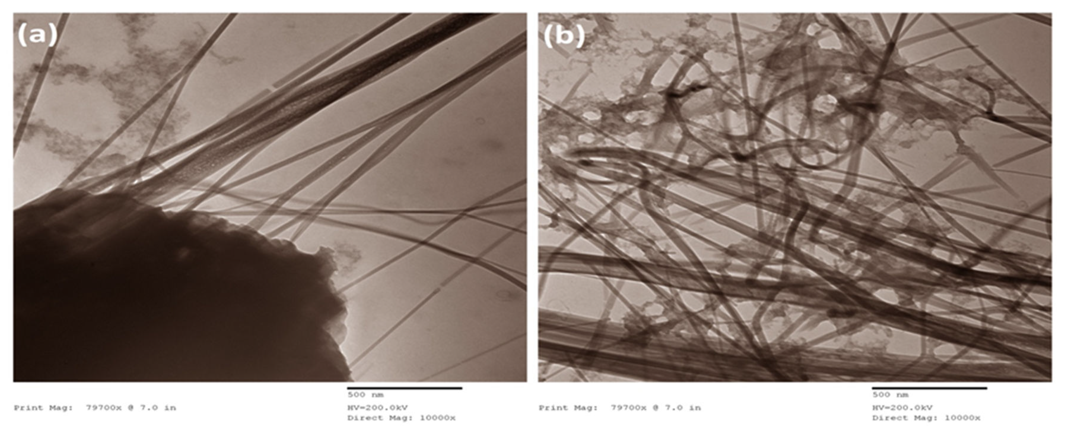 Husk-like Zinc Oxide Nanoparticles Induce Apoptosis through