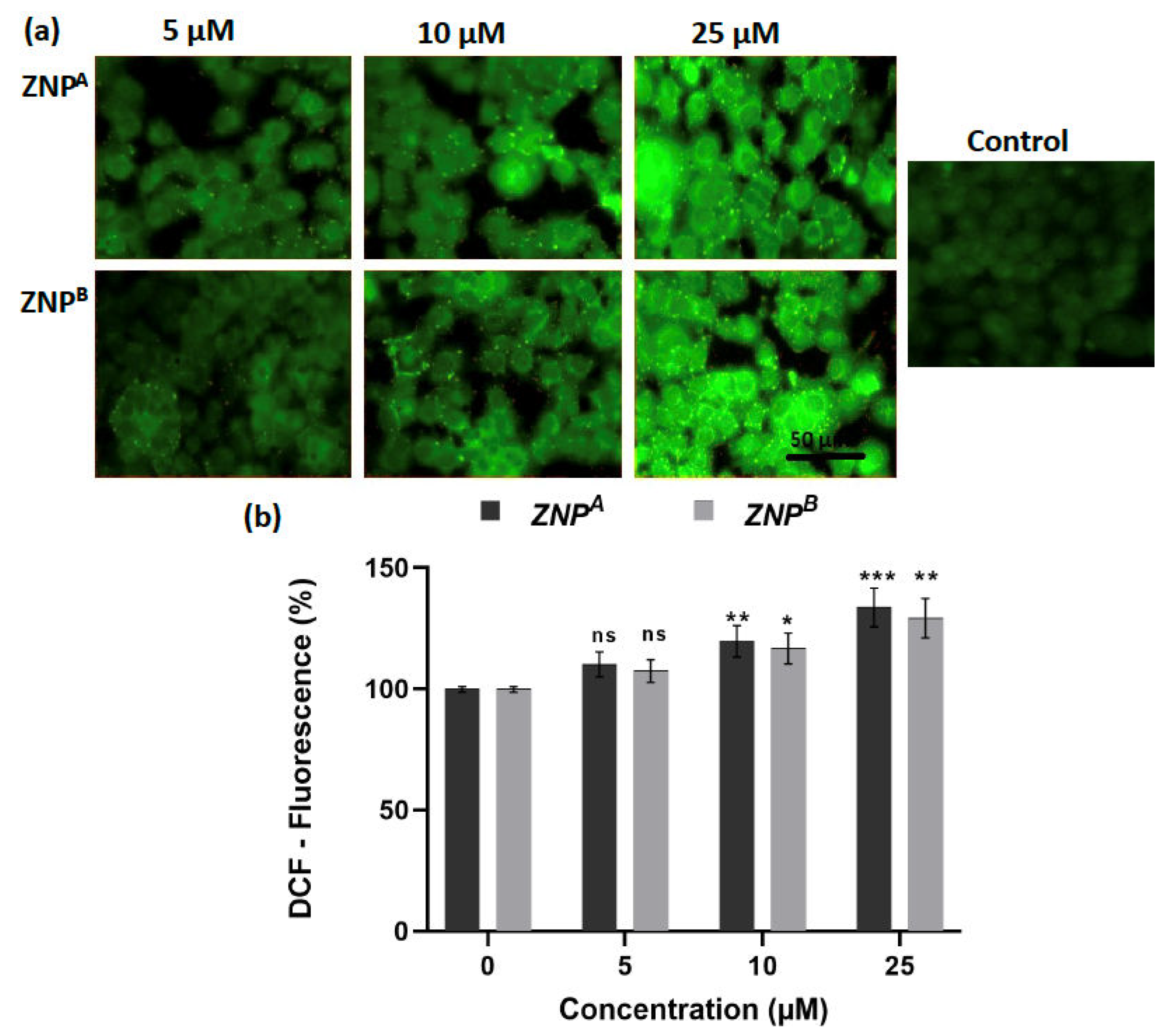 Biomedicines 11 00320 g008