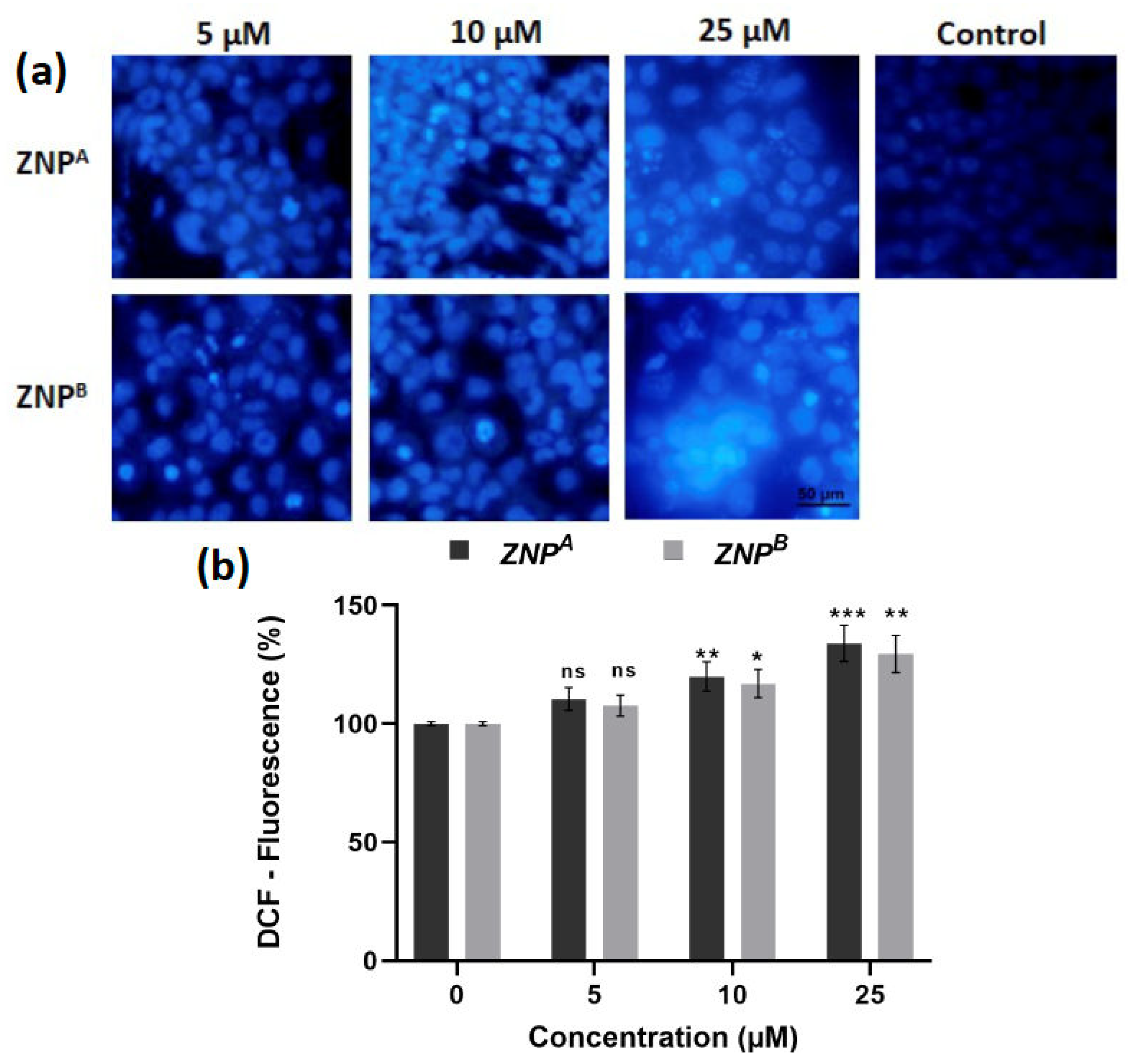 Biomedicines 11 00320 g009