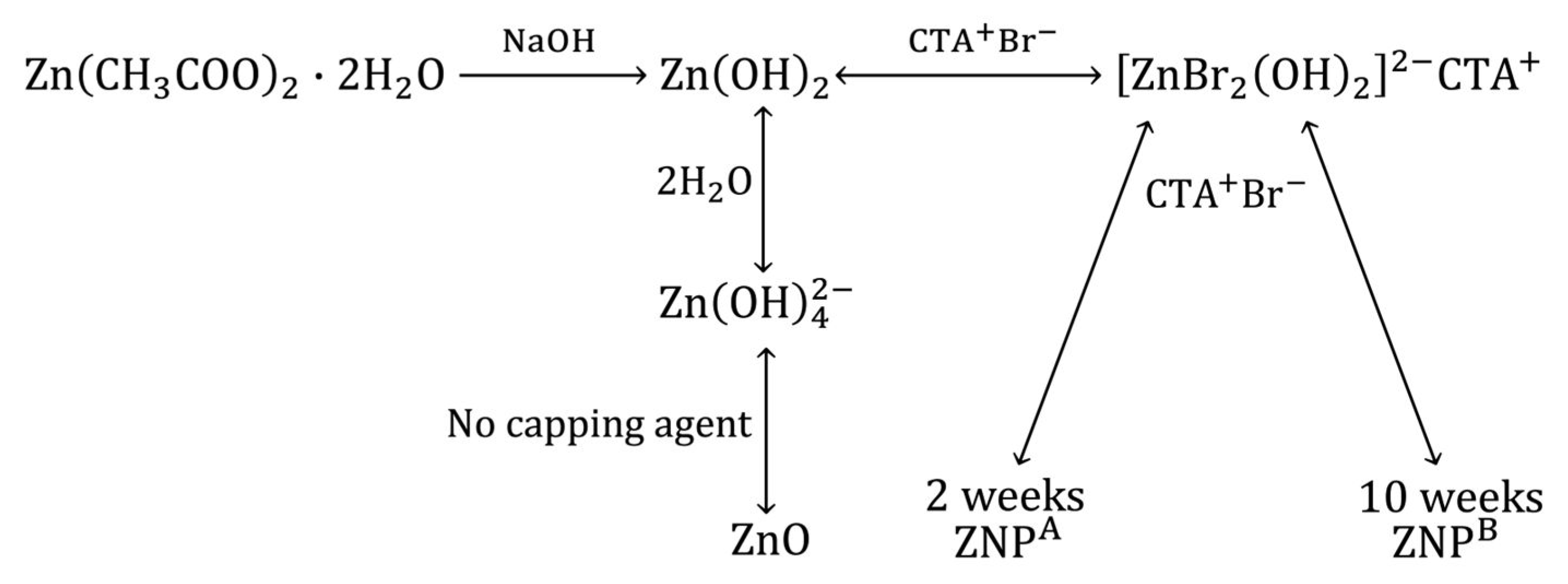 Biomedicines 11 00320 sch001