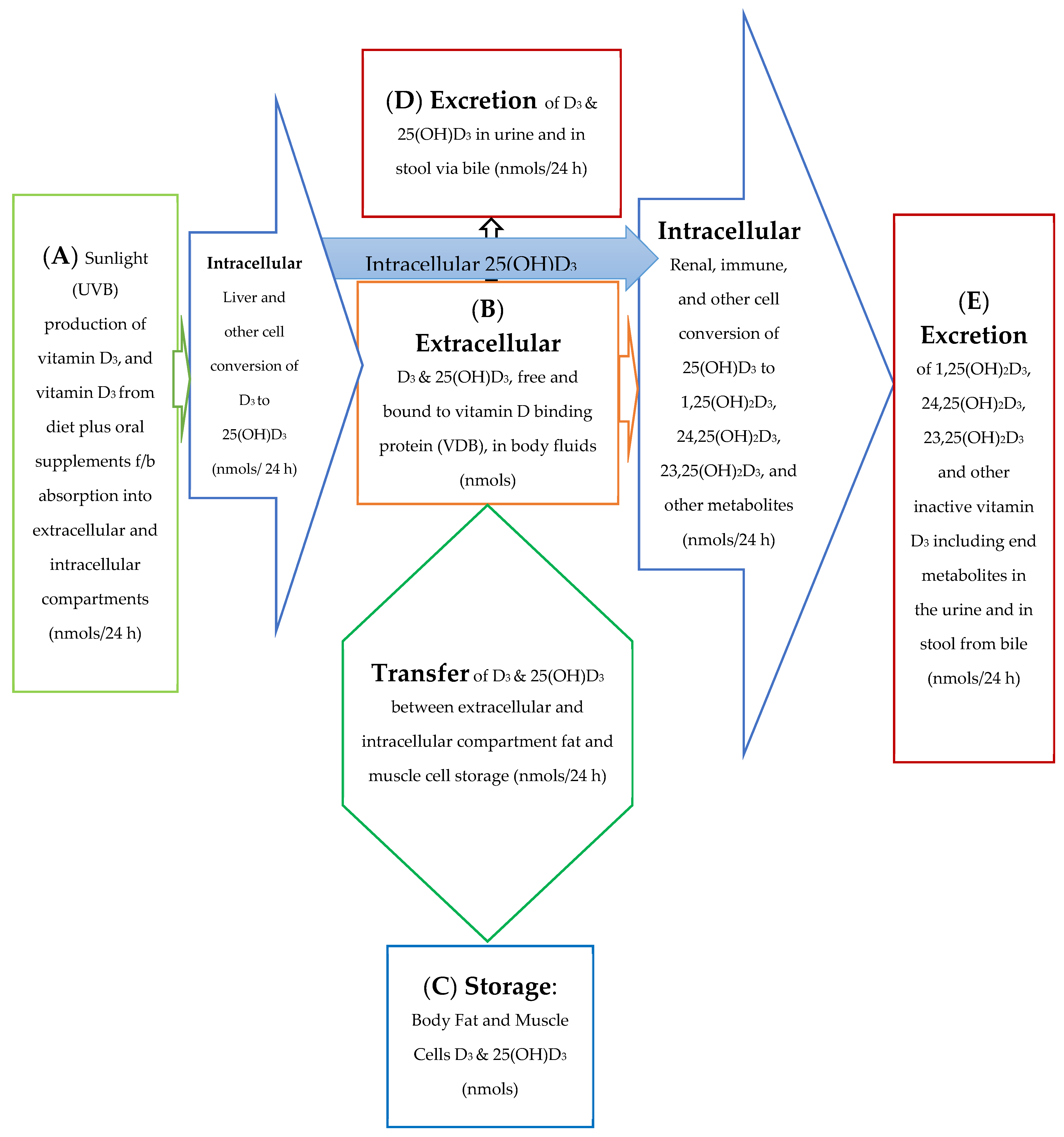 Biomedicines 11 00324 g001 Biomedicines 11 00324 g001