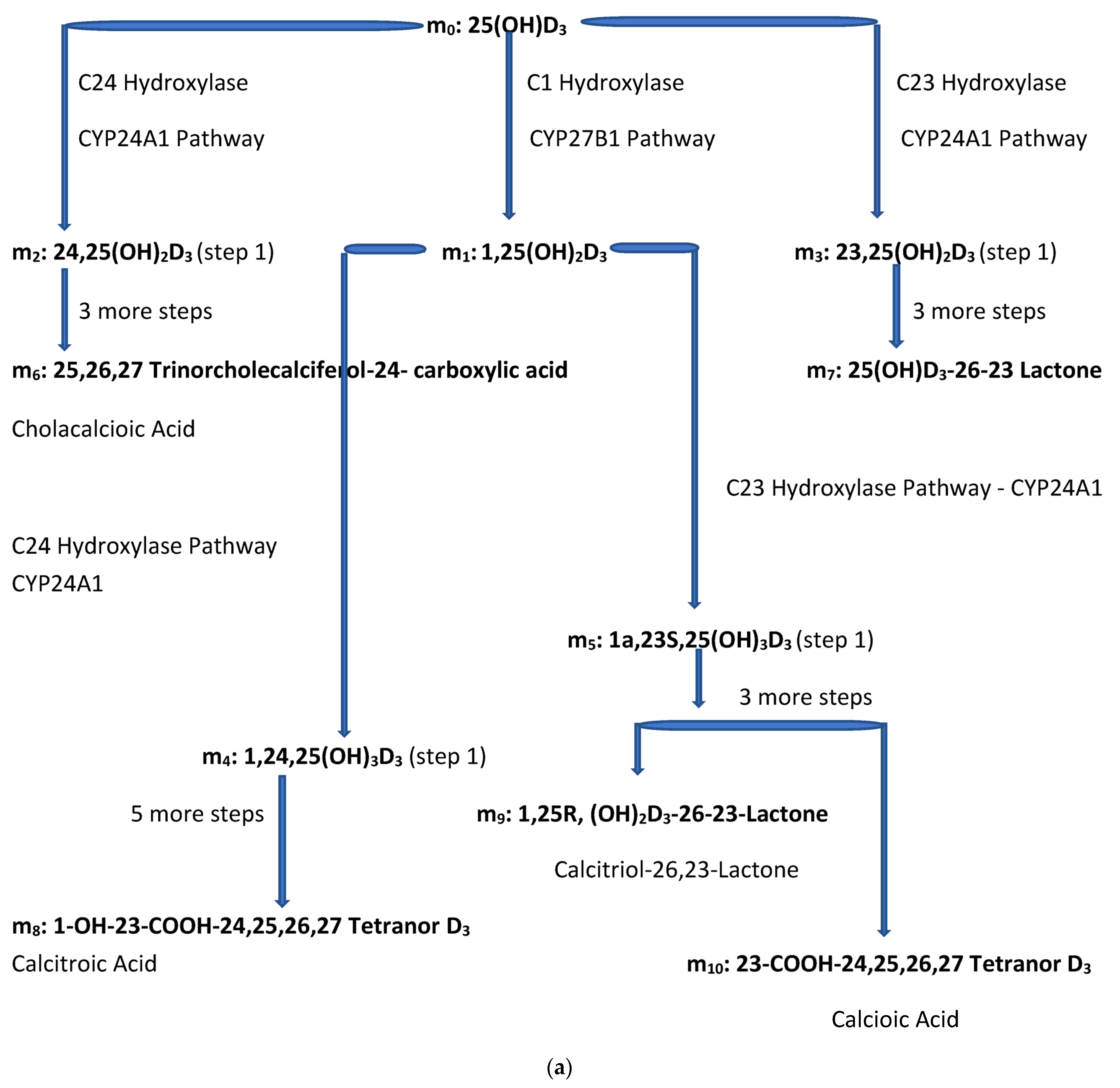 Biomedicines 11 00324 g002a Biomedicines 11 00324 g002a
