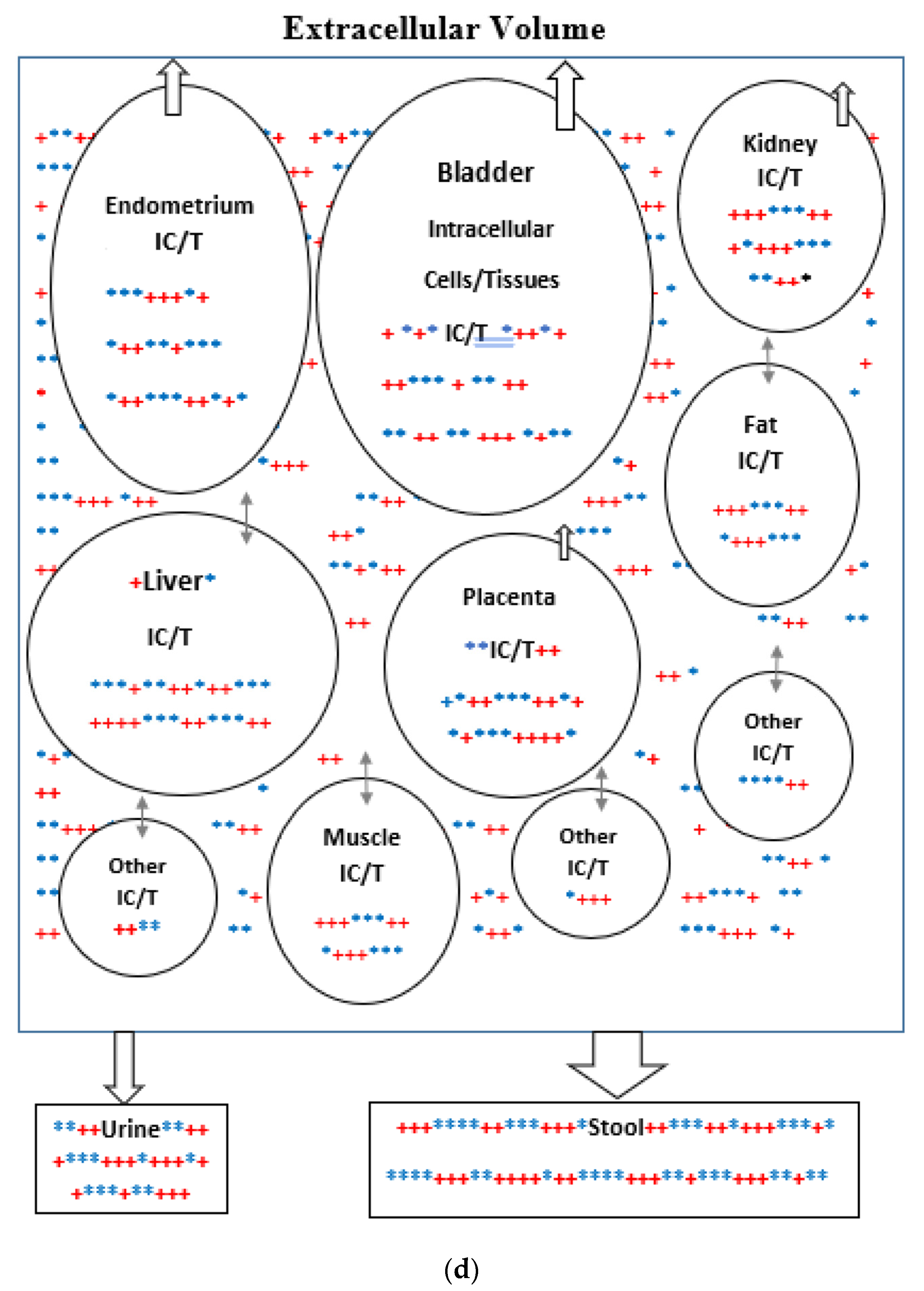 Biomedicines 11 00324 g002d Biomedicines 11 00324 g002d