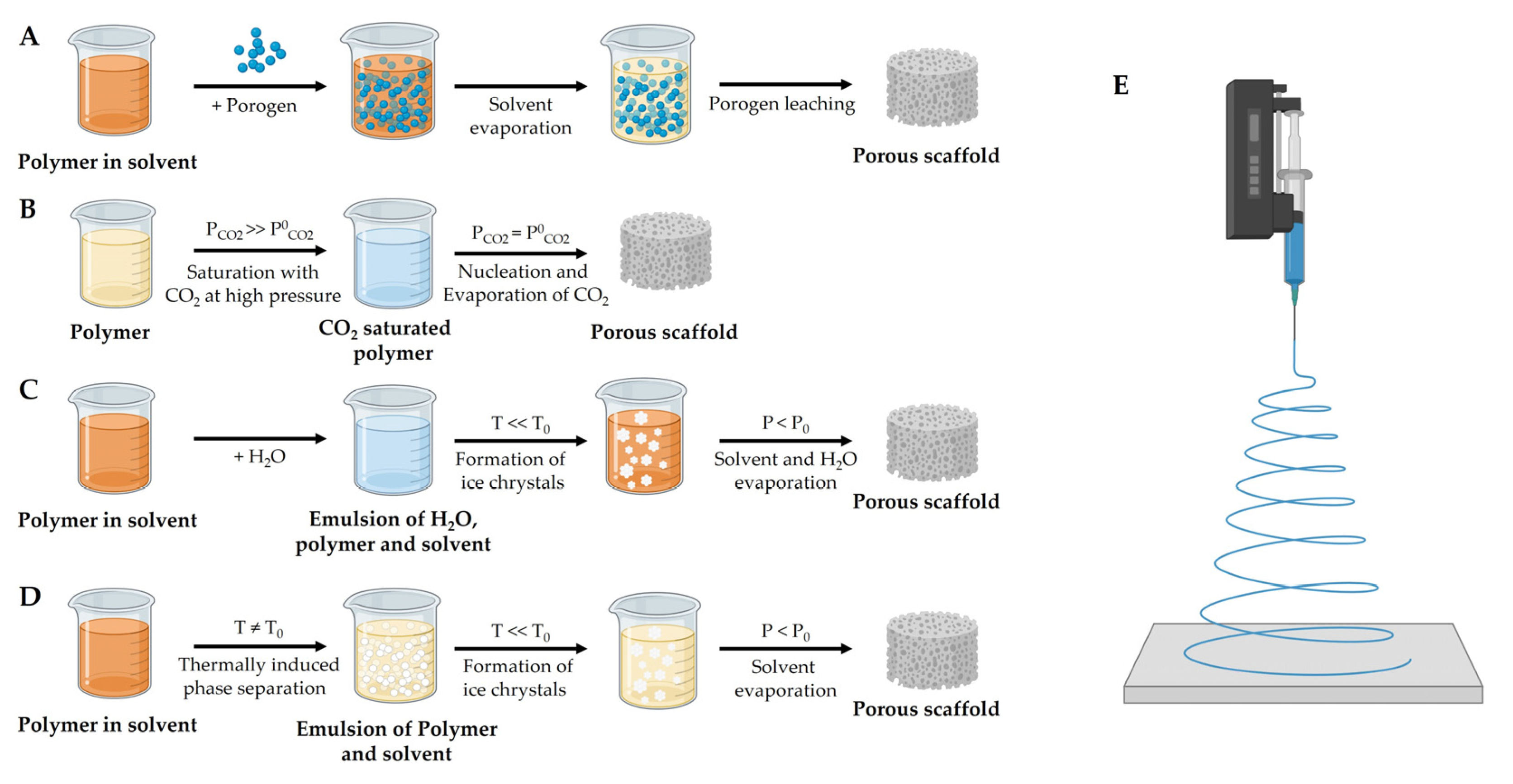Biomedicines 11 00325 g002 Biomedicines 11 00325 g002