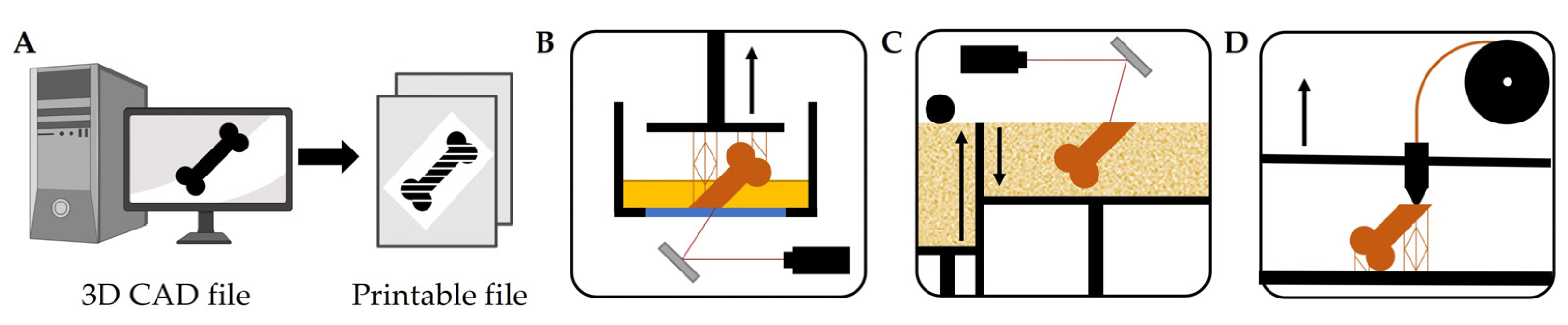 Biomedicines 11 00325 g003 Biomedicines 11 00325 g003