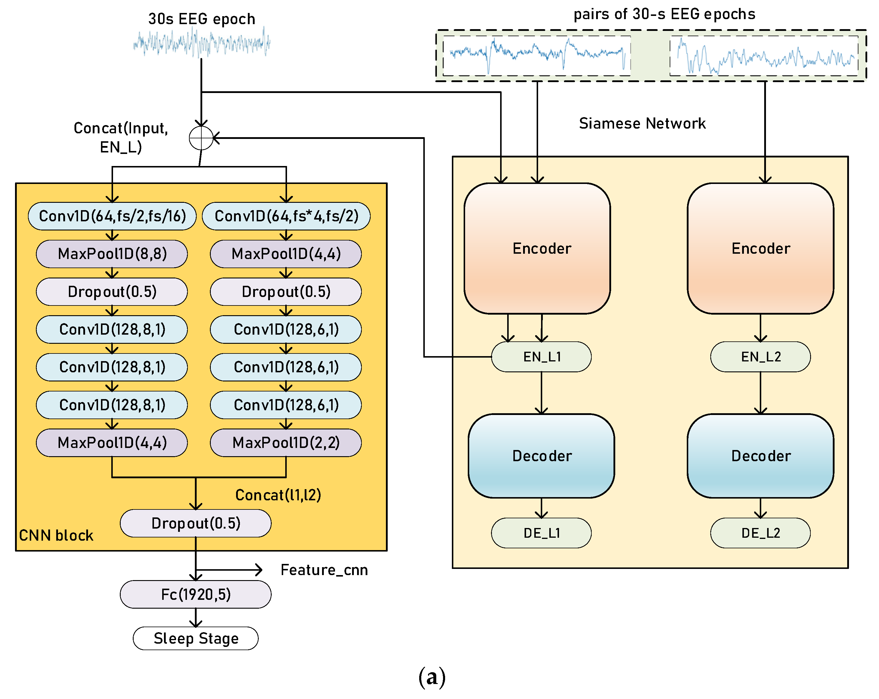 Biomedicines 11 00327 g003a Biomedicines 11 00327 g003a