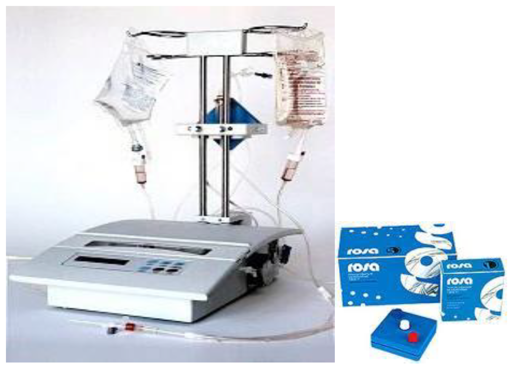 Biomedicines 11 00328 g004