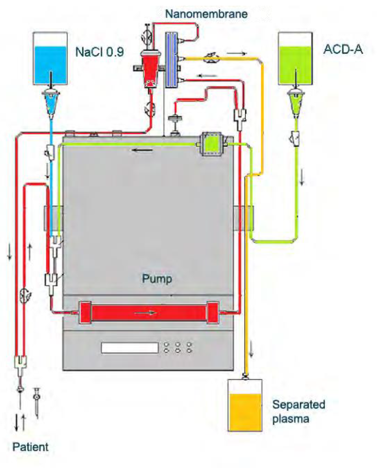 Biomedicines 11 00328 g006