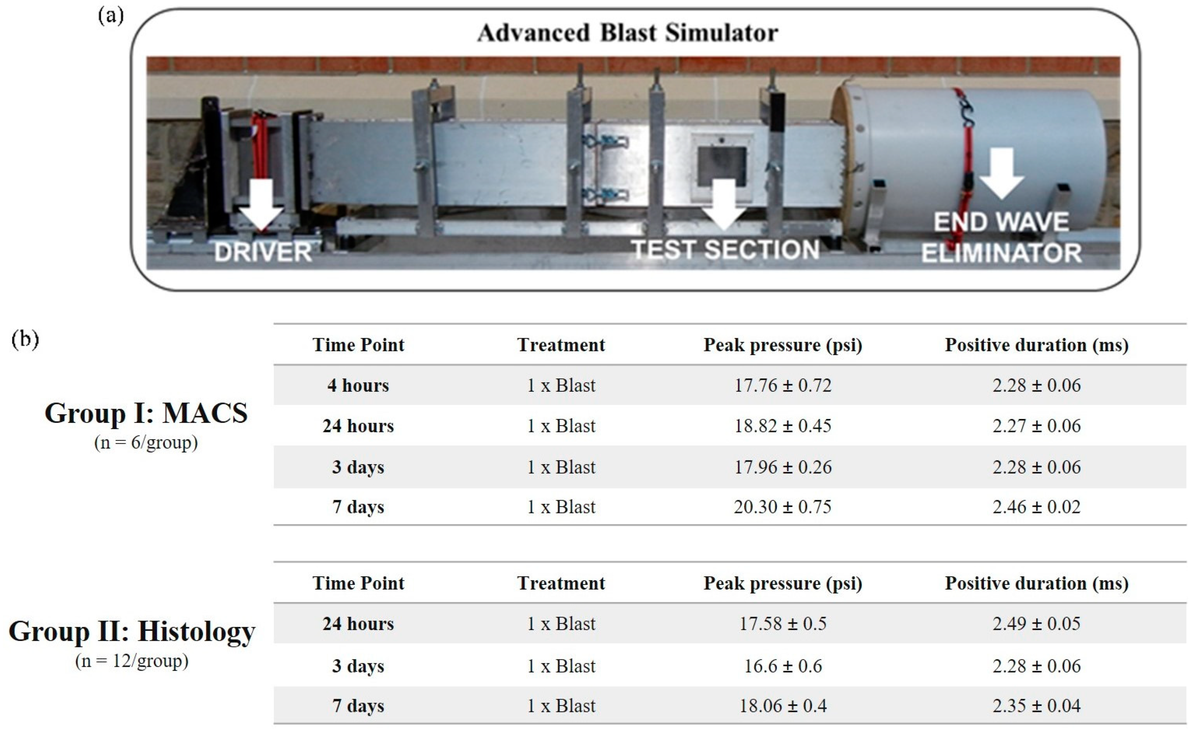 Biomedicines 11 00329 g002 Biomedicines 11 00329 g002