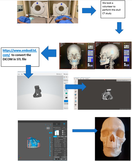 Biomedicines, Free Full-Text