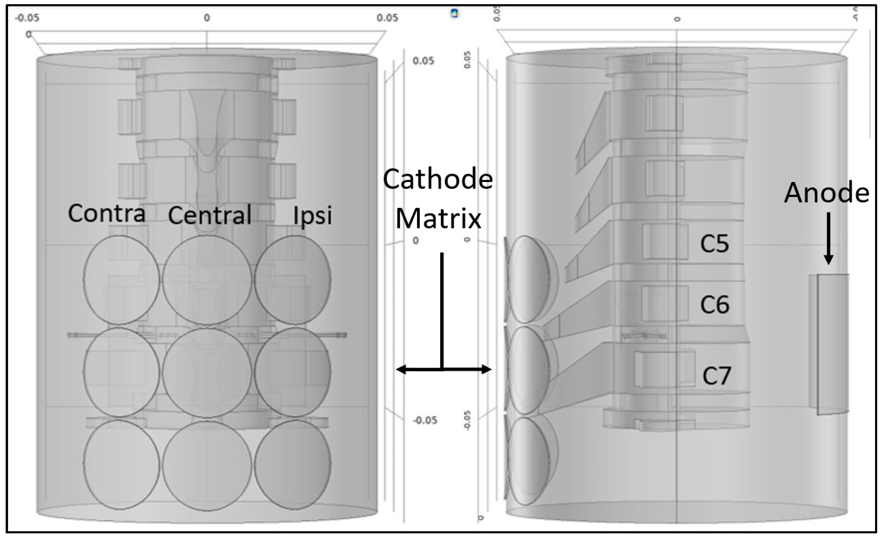 Biomedicines 11 00332 g001