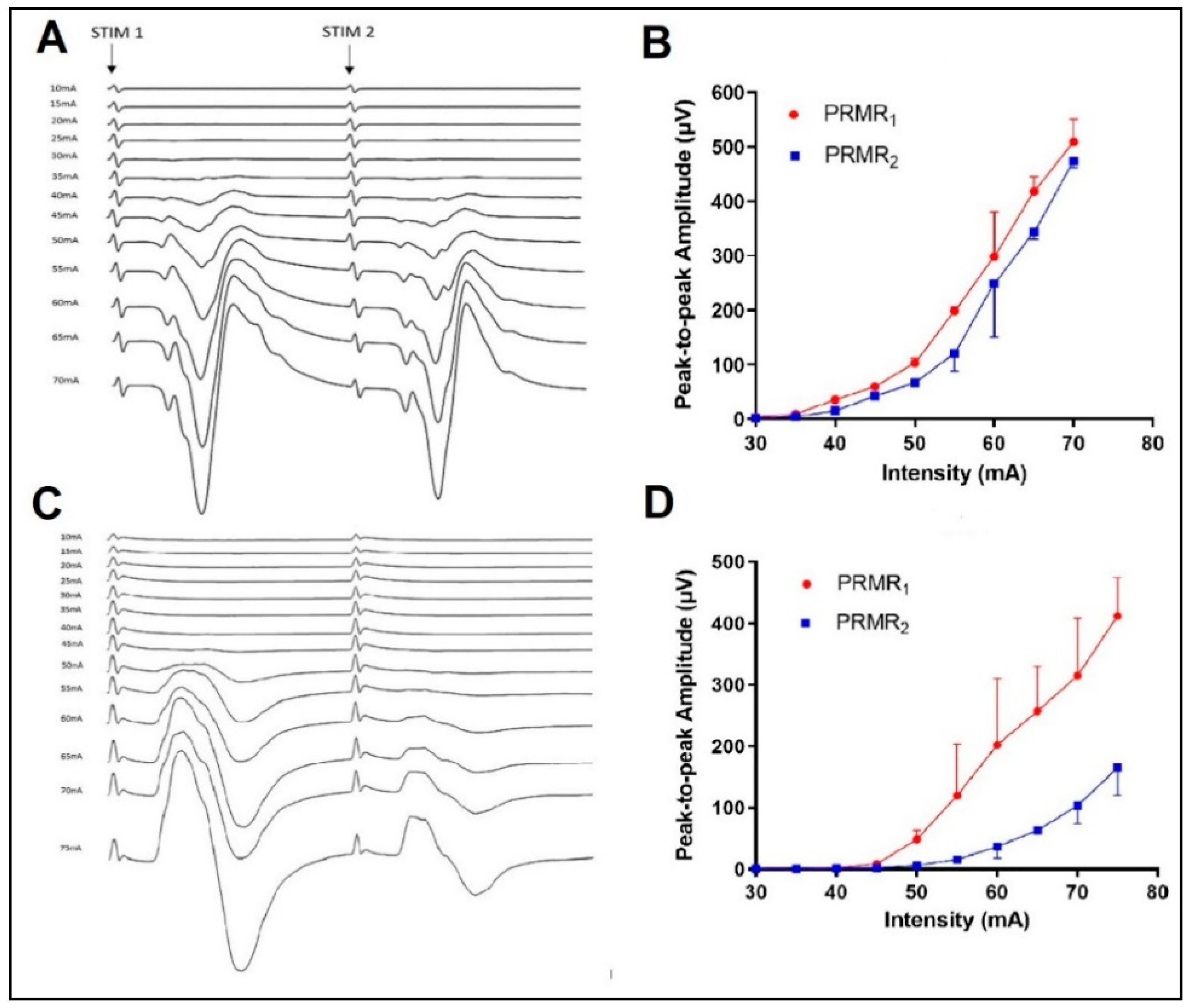 Biomedicines 11 00332 g002
