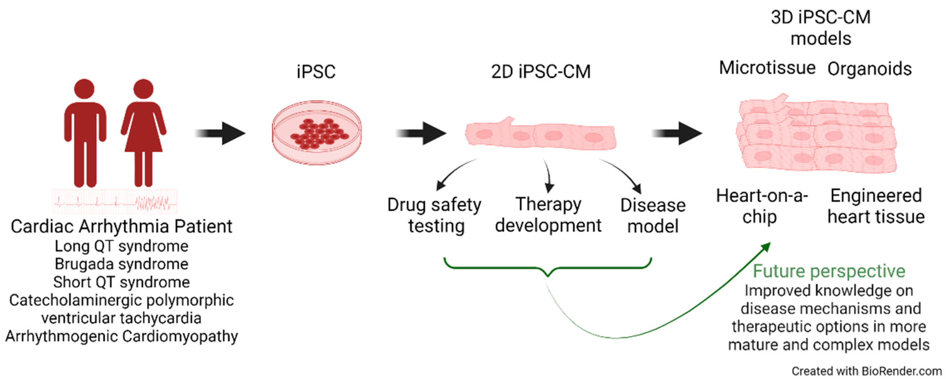 Biomedicines 11 00334 g001