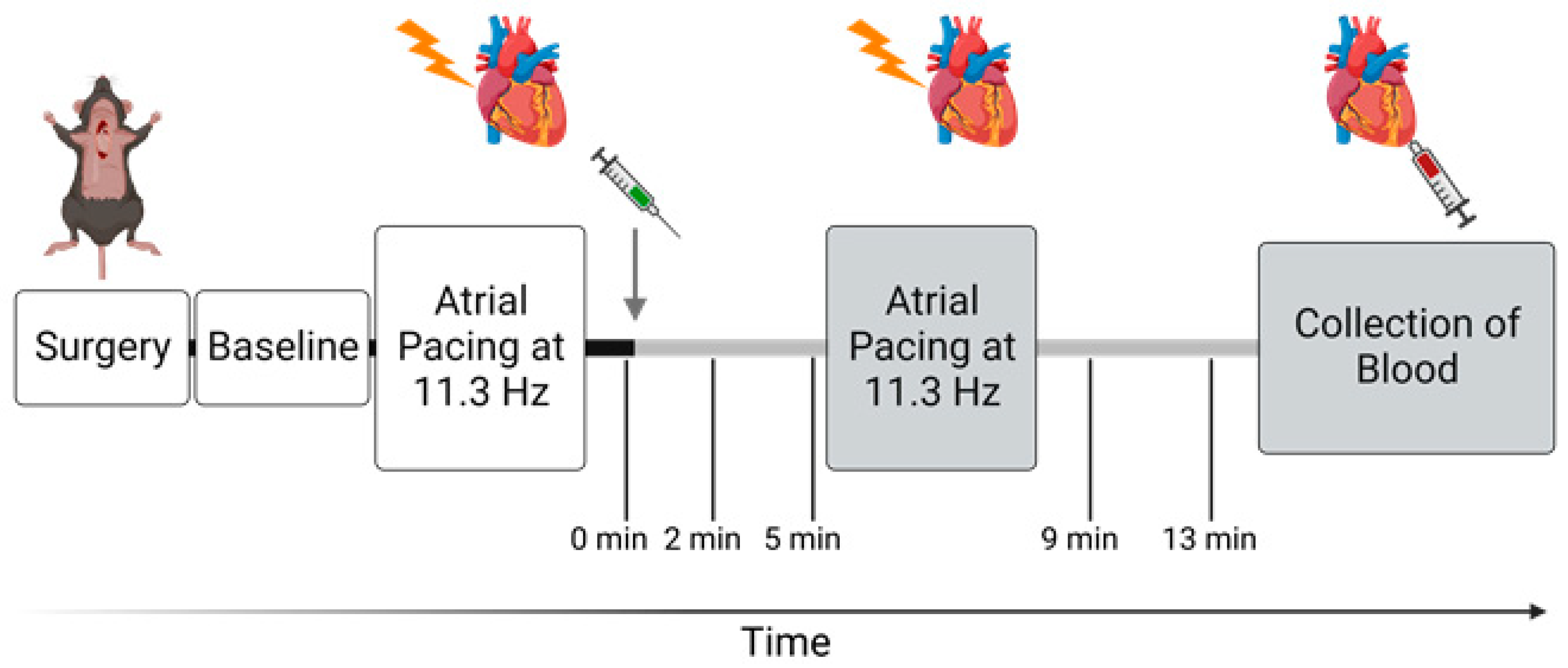 Biomedicines 11 00344 g001 Biomedicines 11 00344 g001
