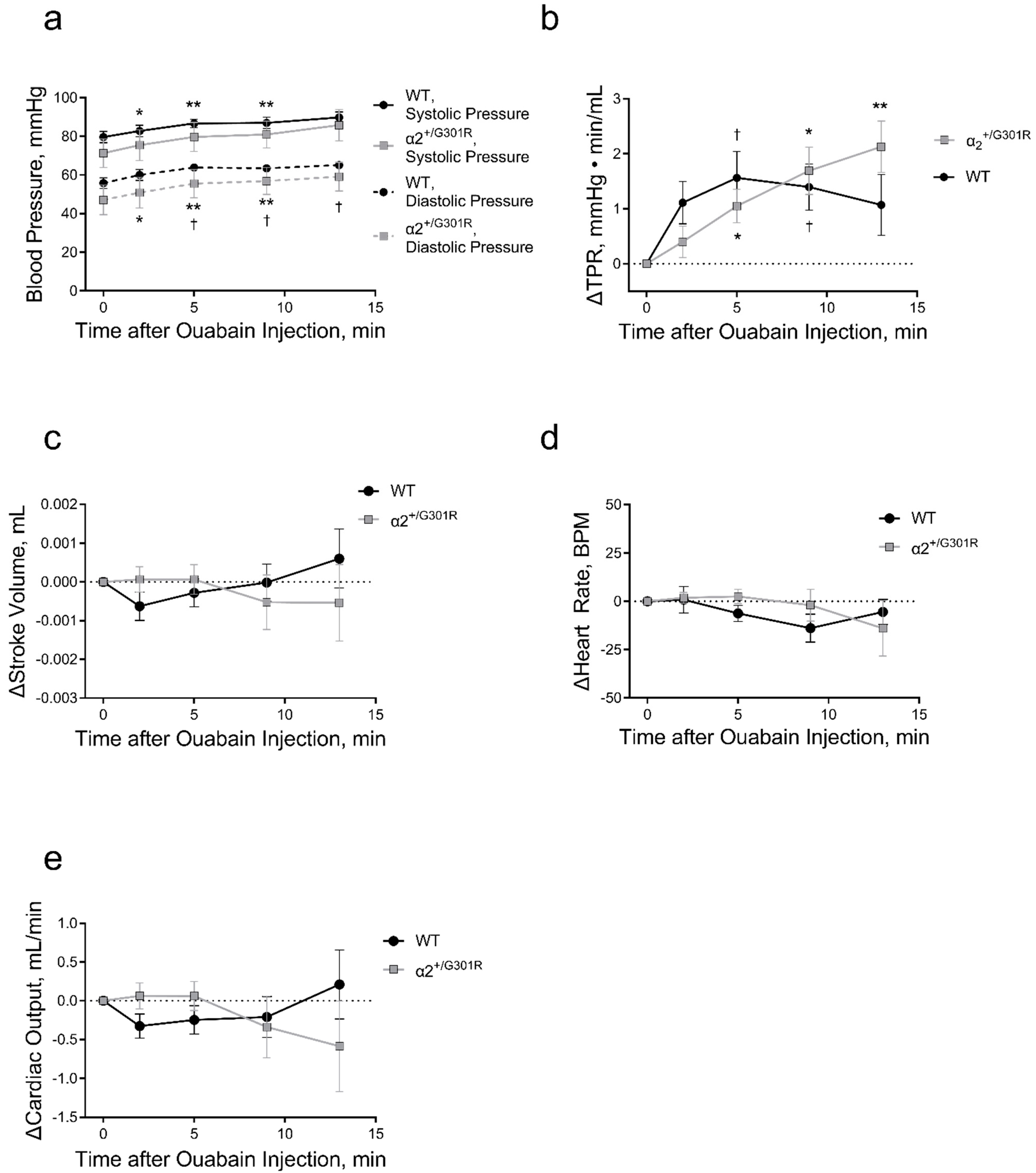 Biomedicines 11 00344 g004 Biomedicines 11 00344 g004