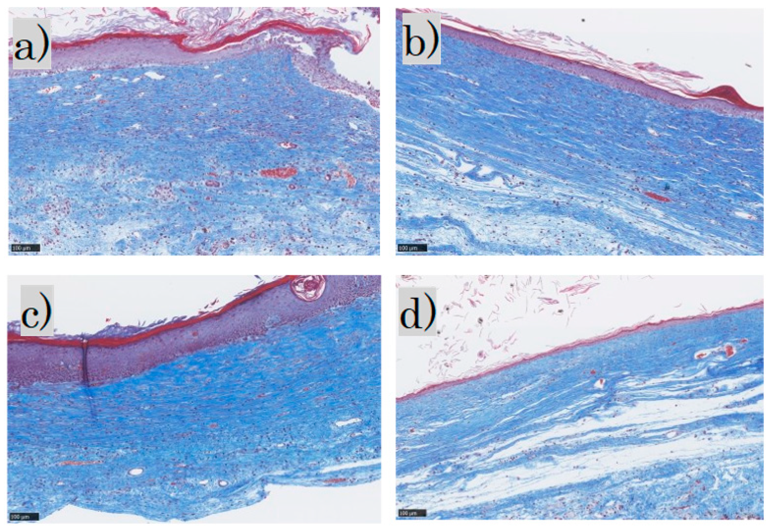 Biomedicines 11 00347 g004