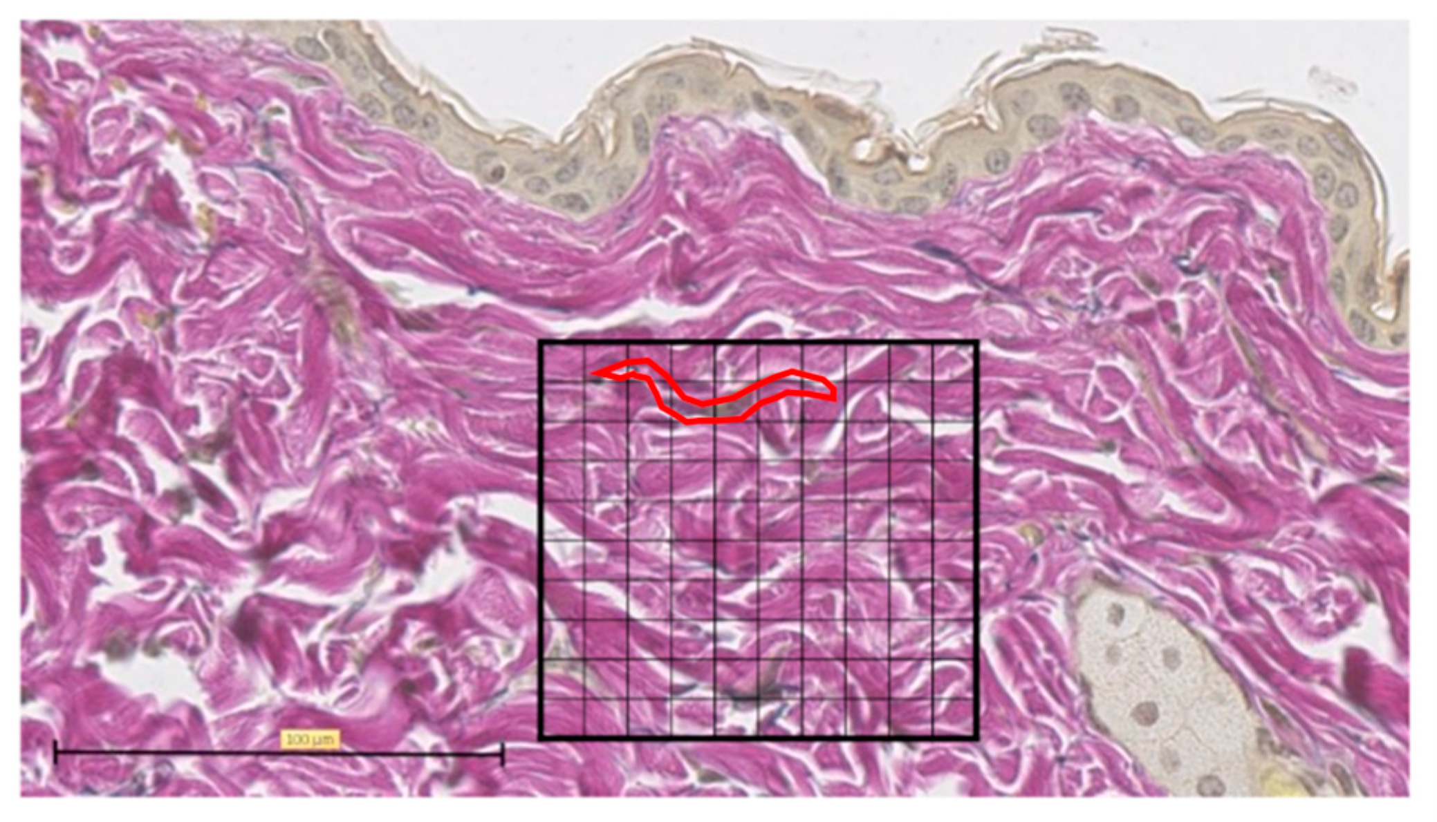 Biomedicines 11 00347 g006