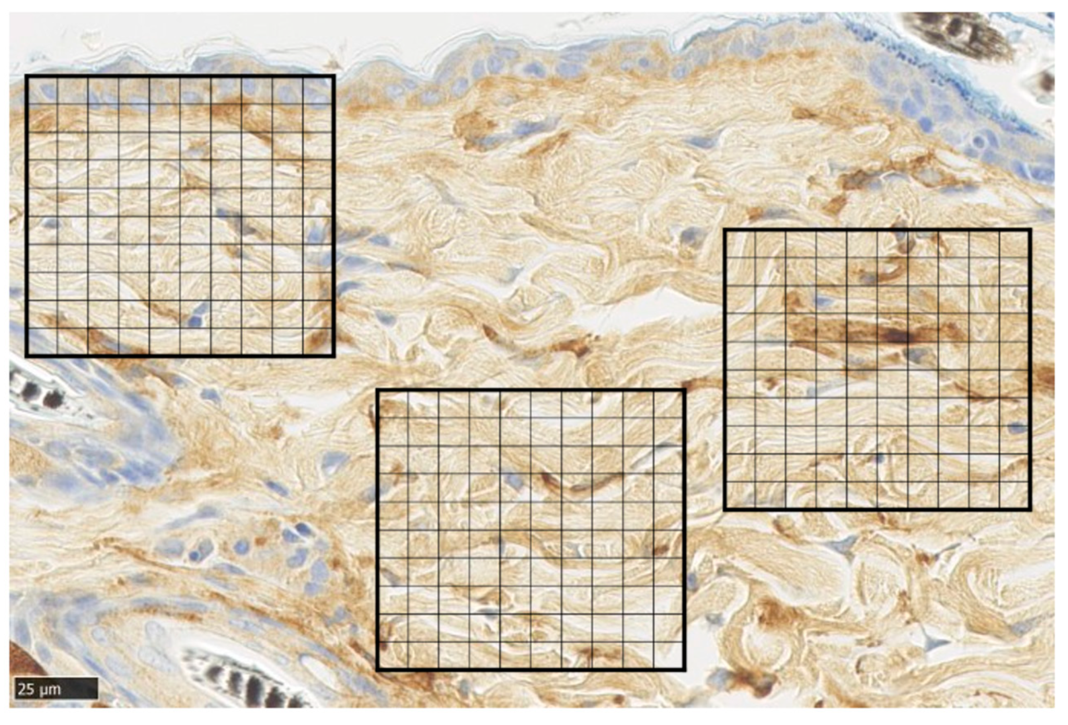 Biomedicines 11 00347 g009