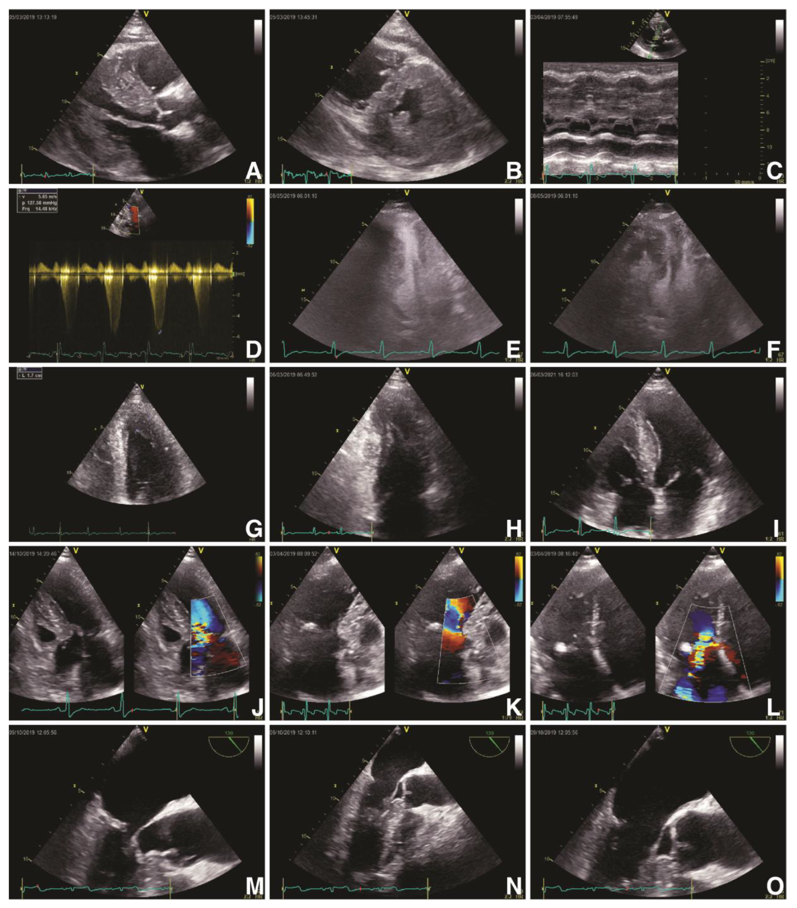 Biomedicines 11 00350 g001