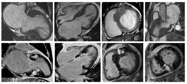 Biomedicines 11 00350 g002