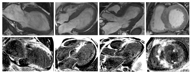 Biomedicines 11 00350 g003